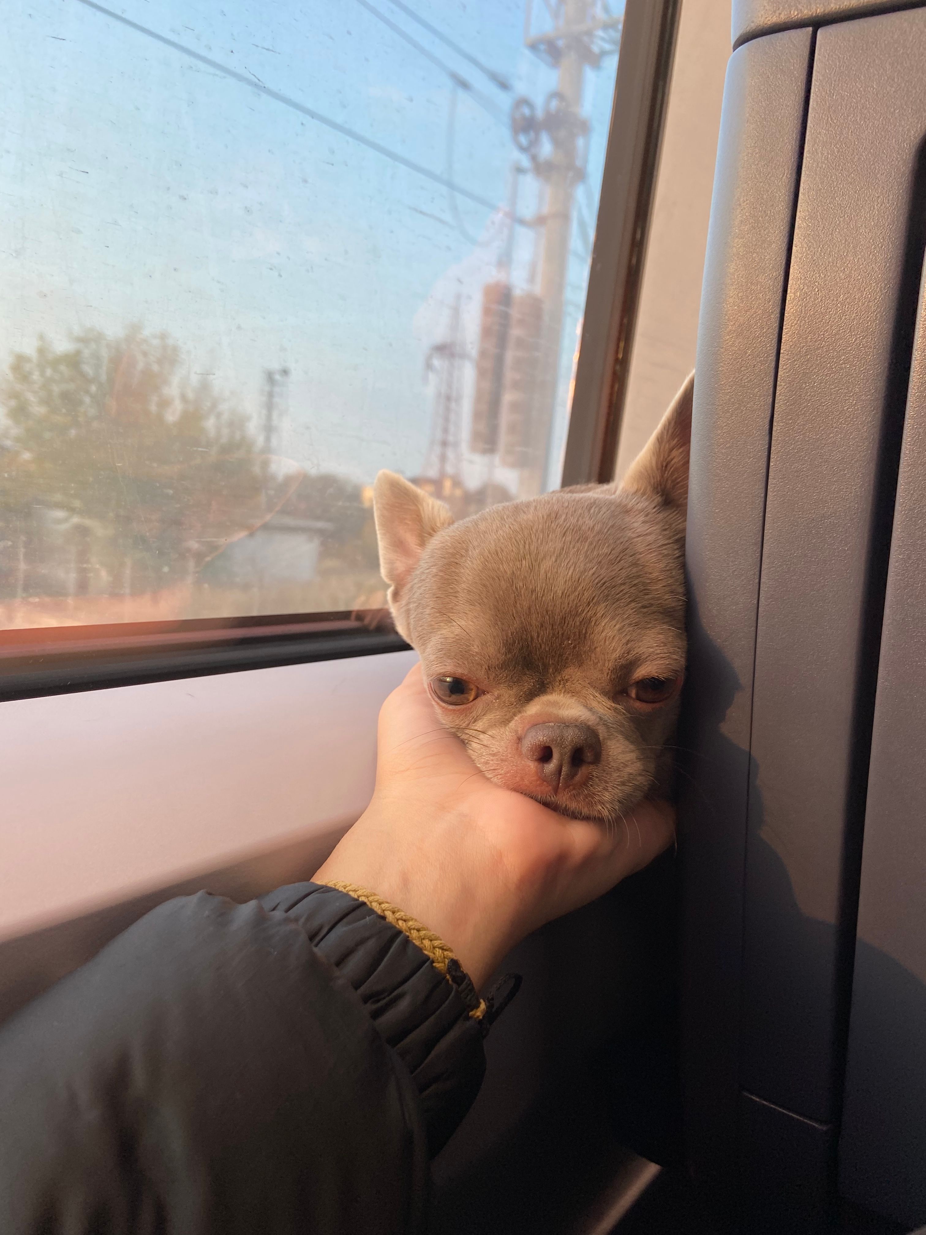 image-8