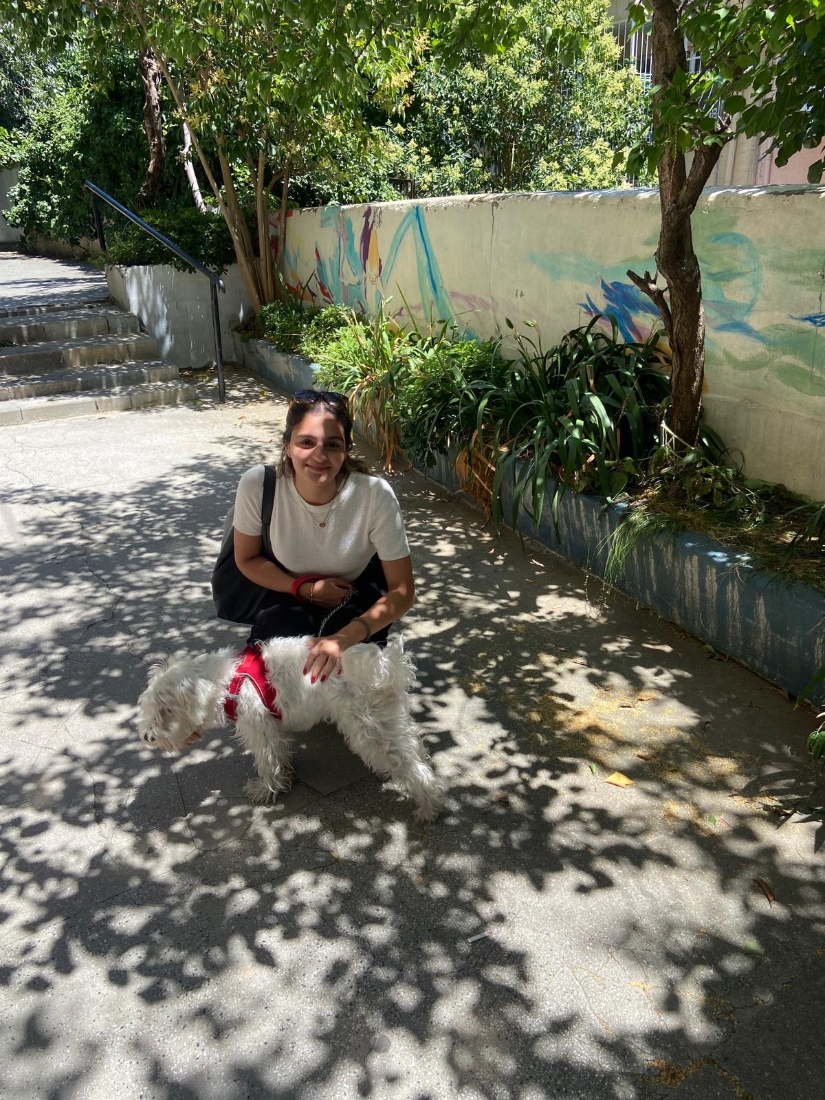 image-5