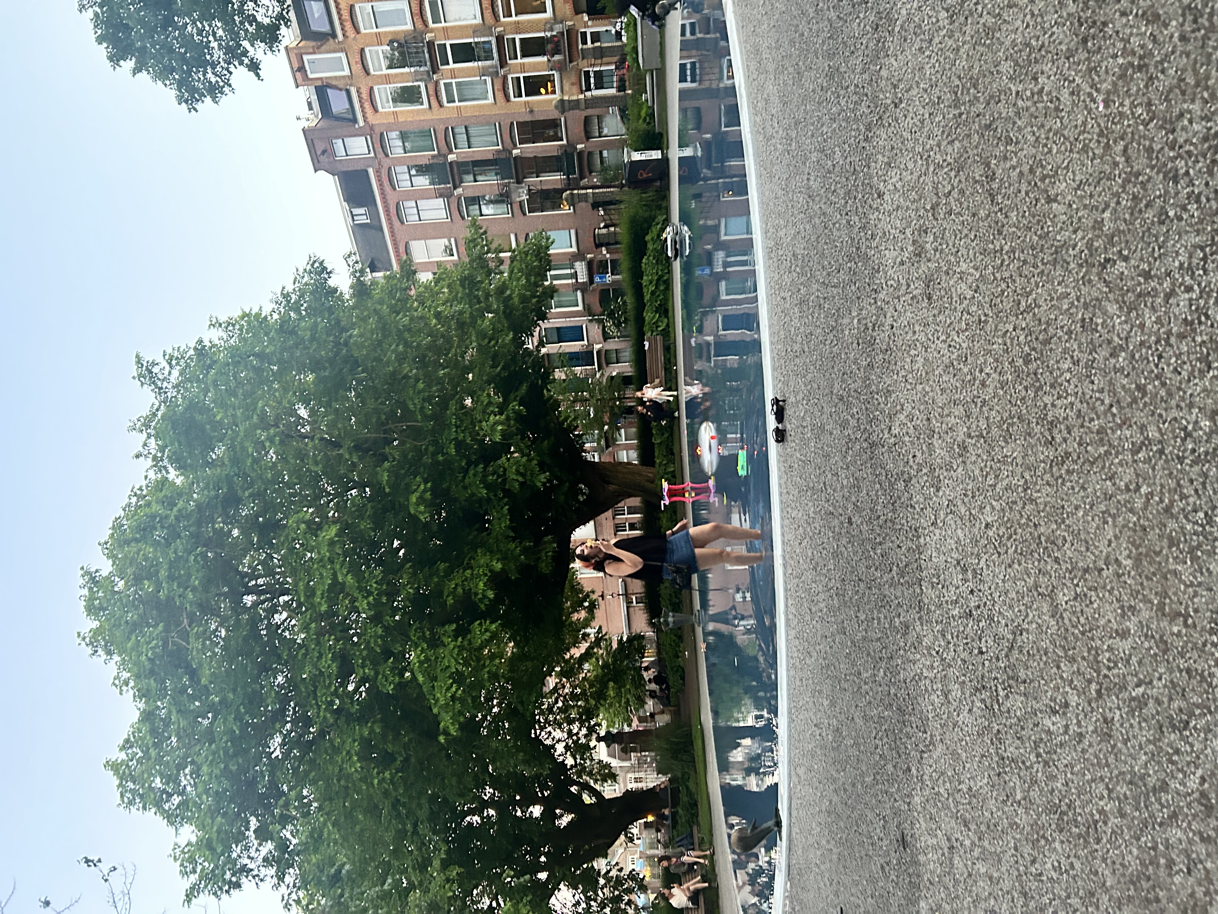 image-19