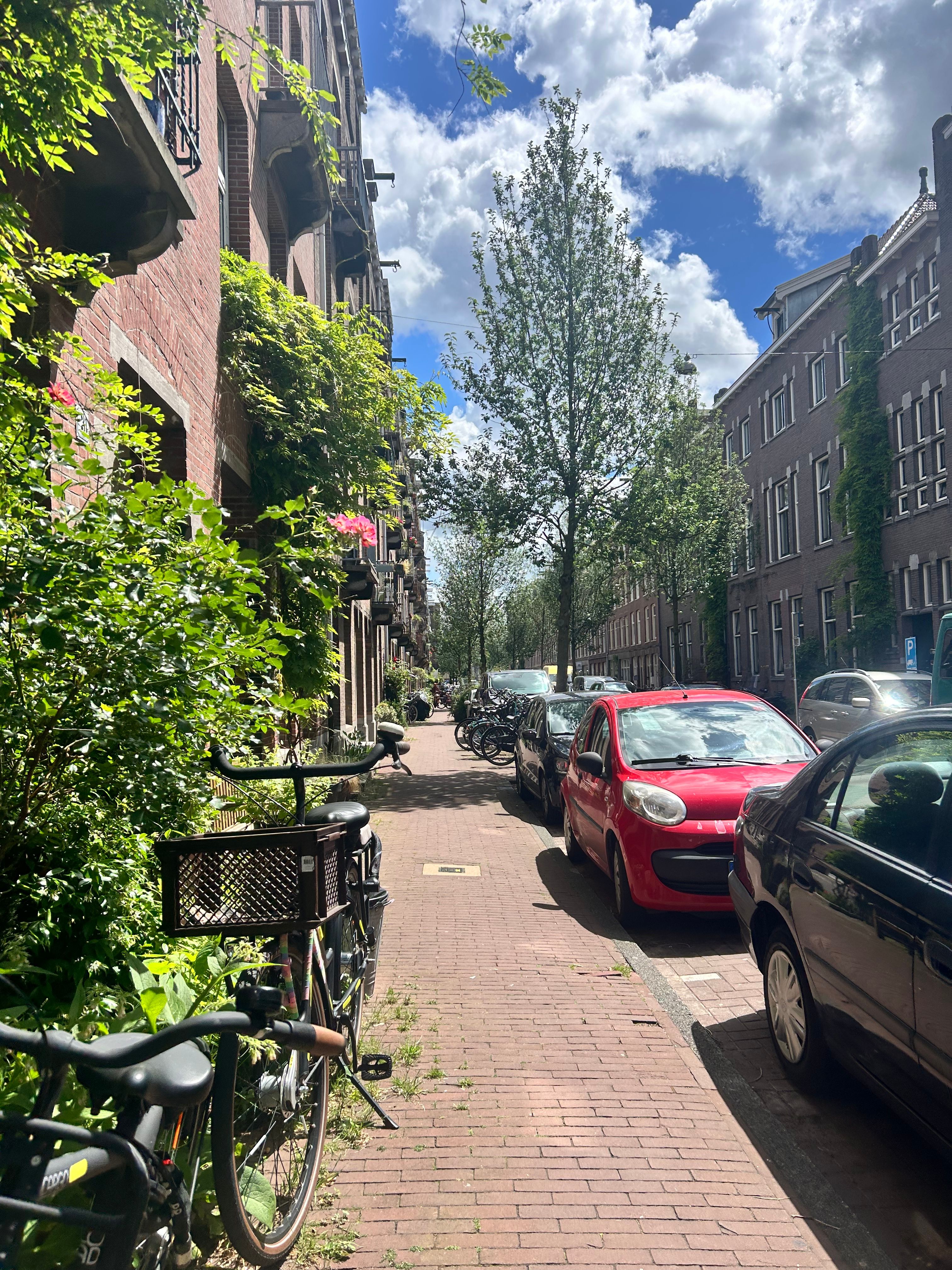 image-20