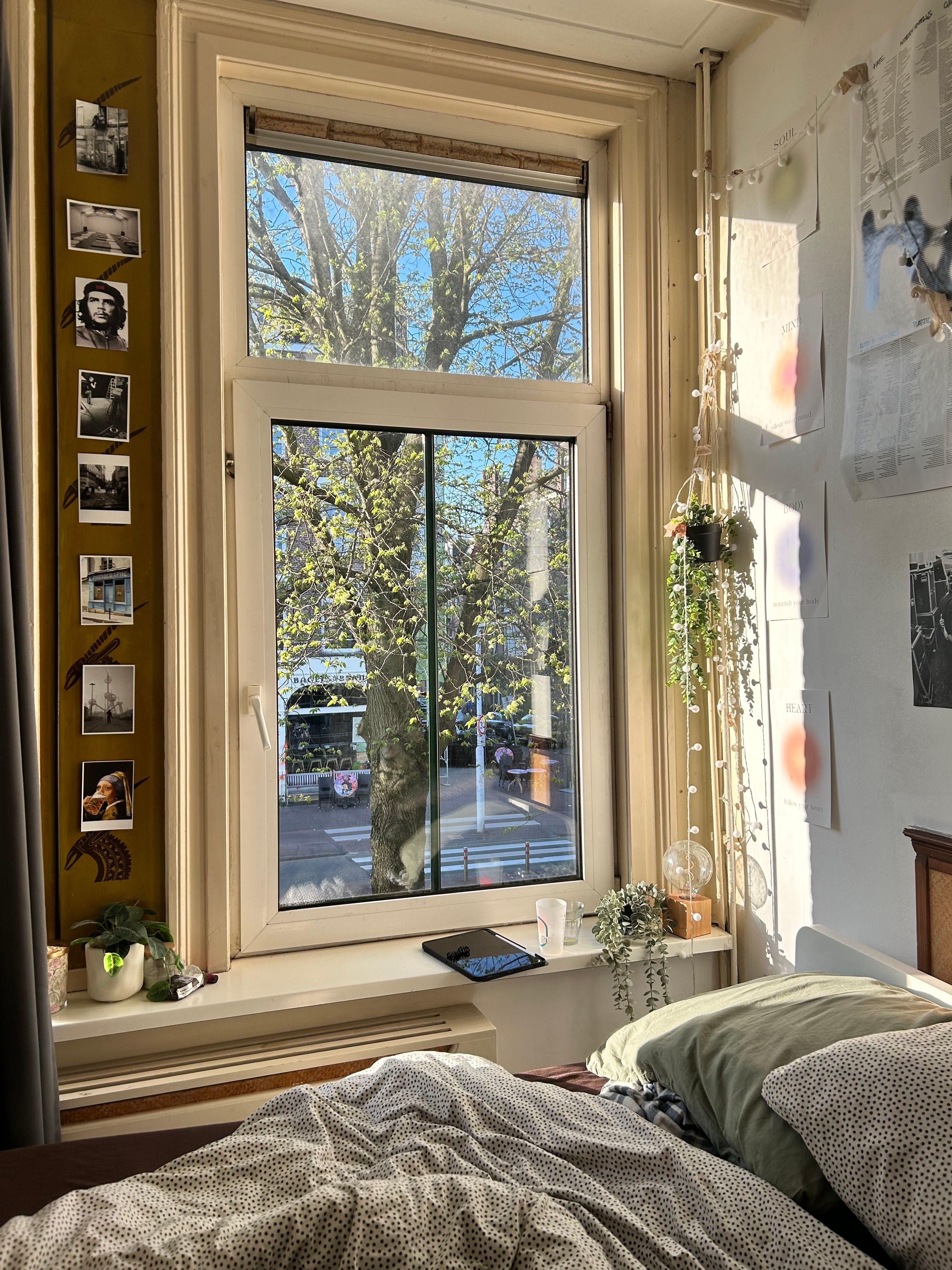image-18