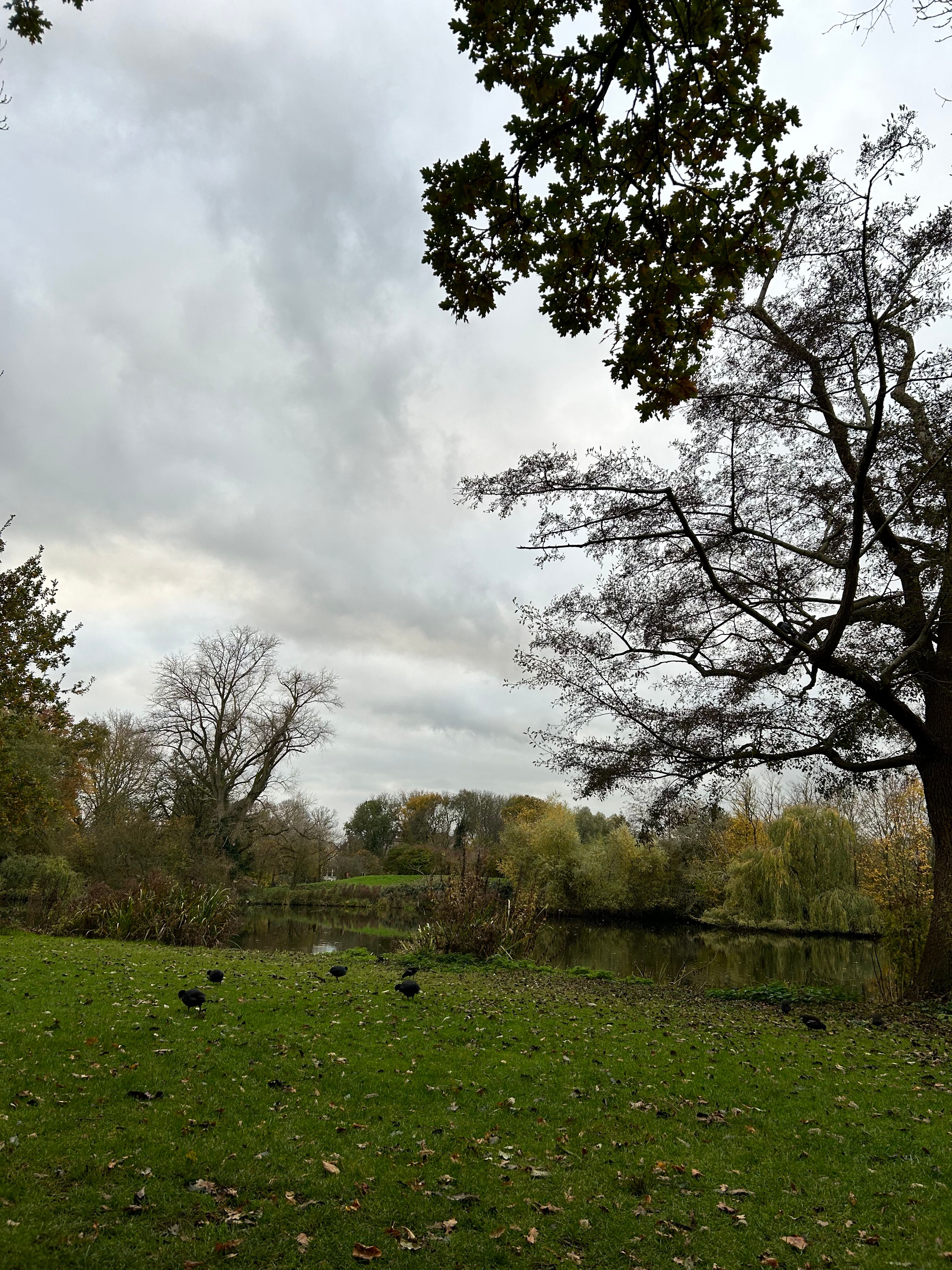 image-14