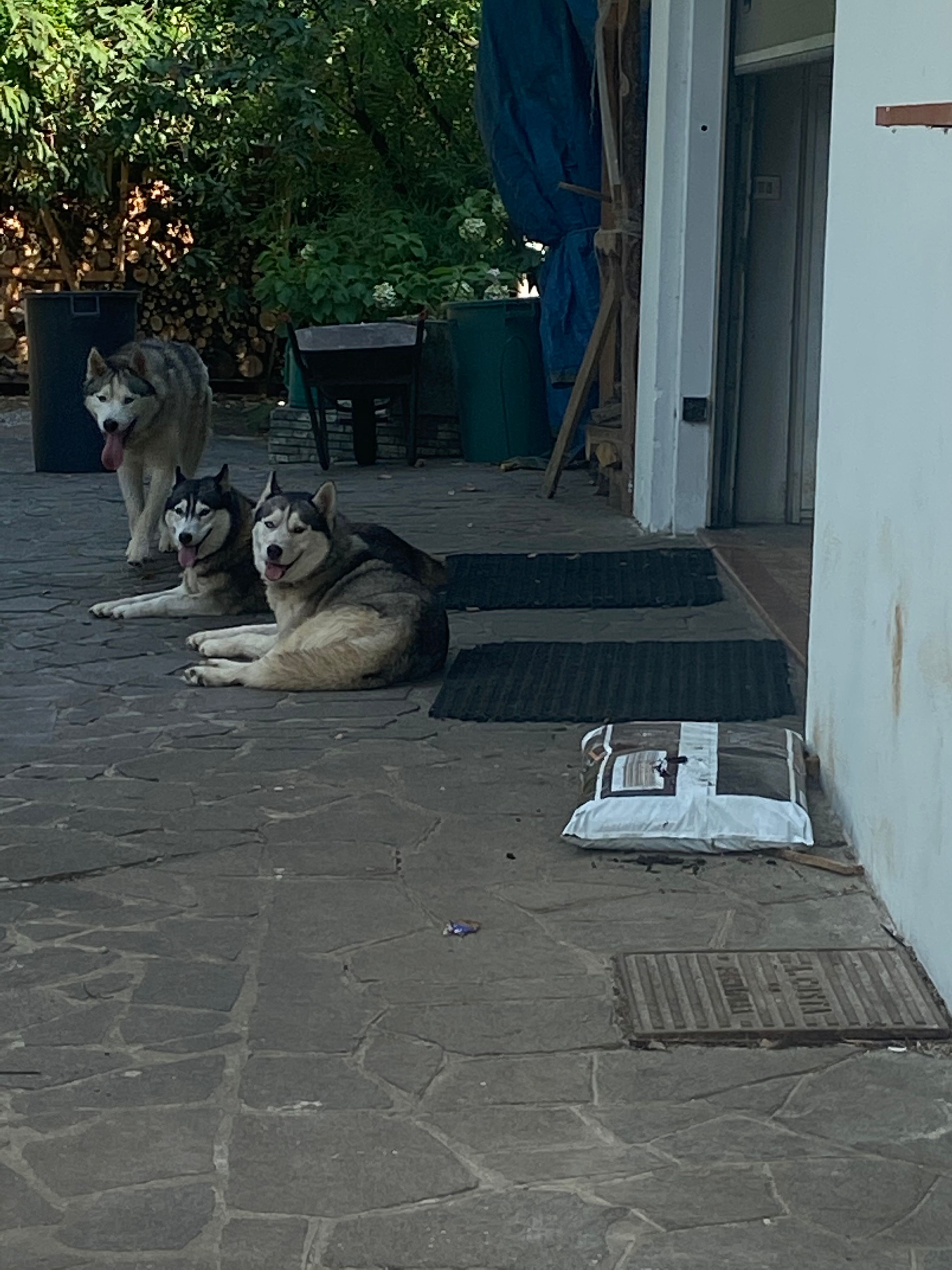image-9