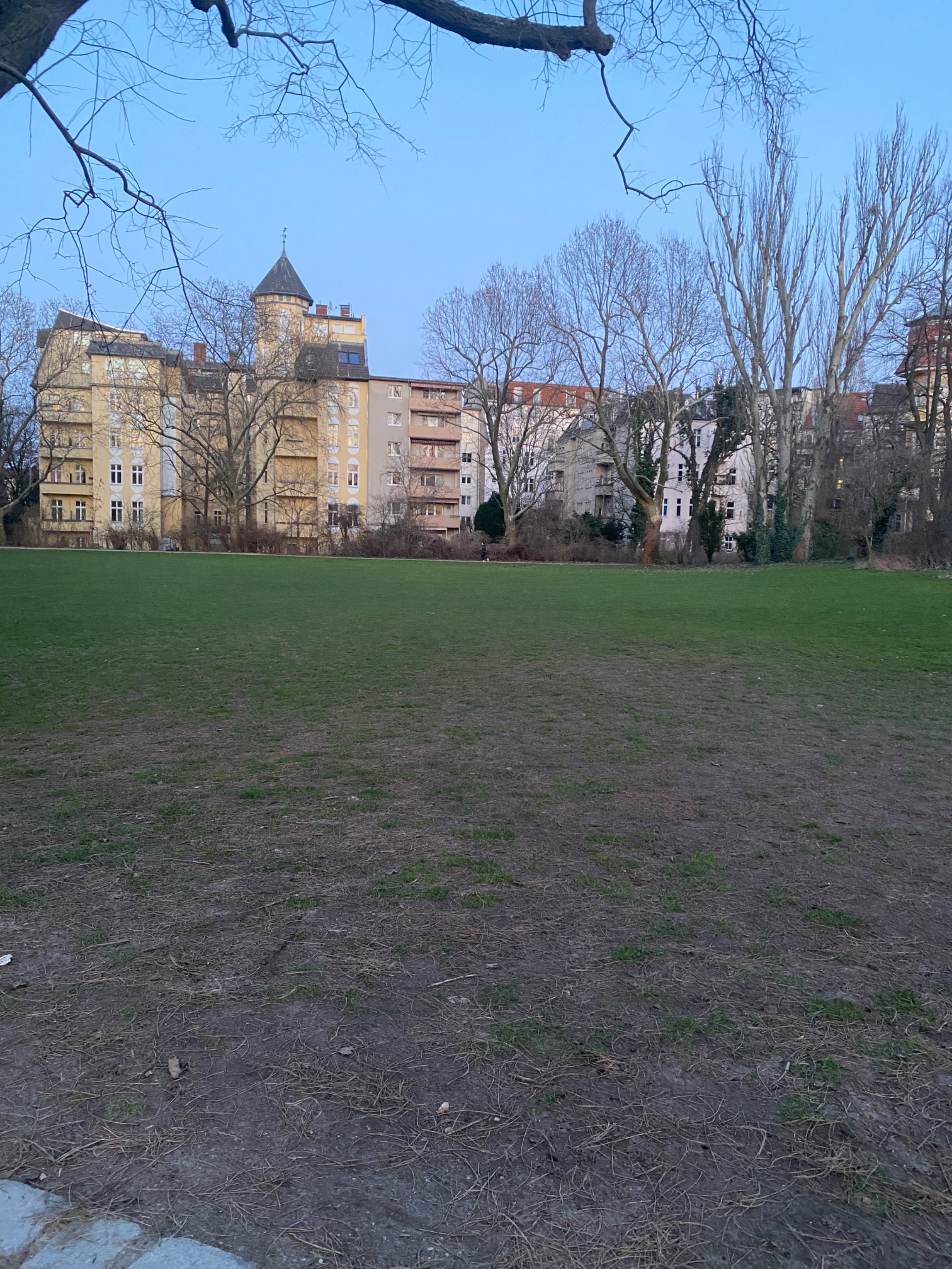 image-13