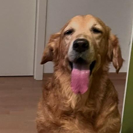 Brutus