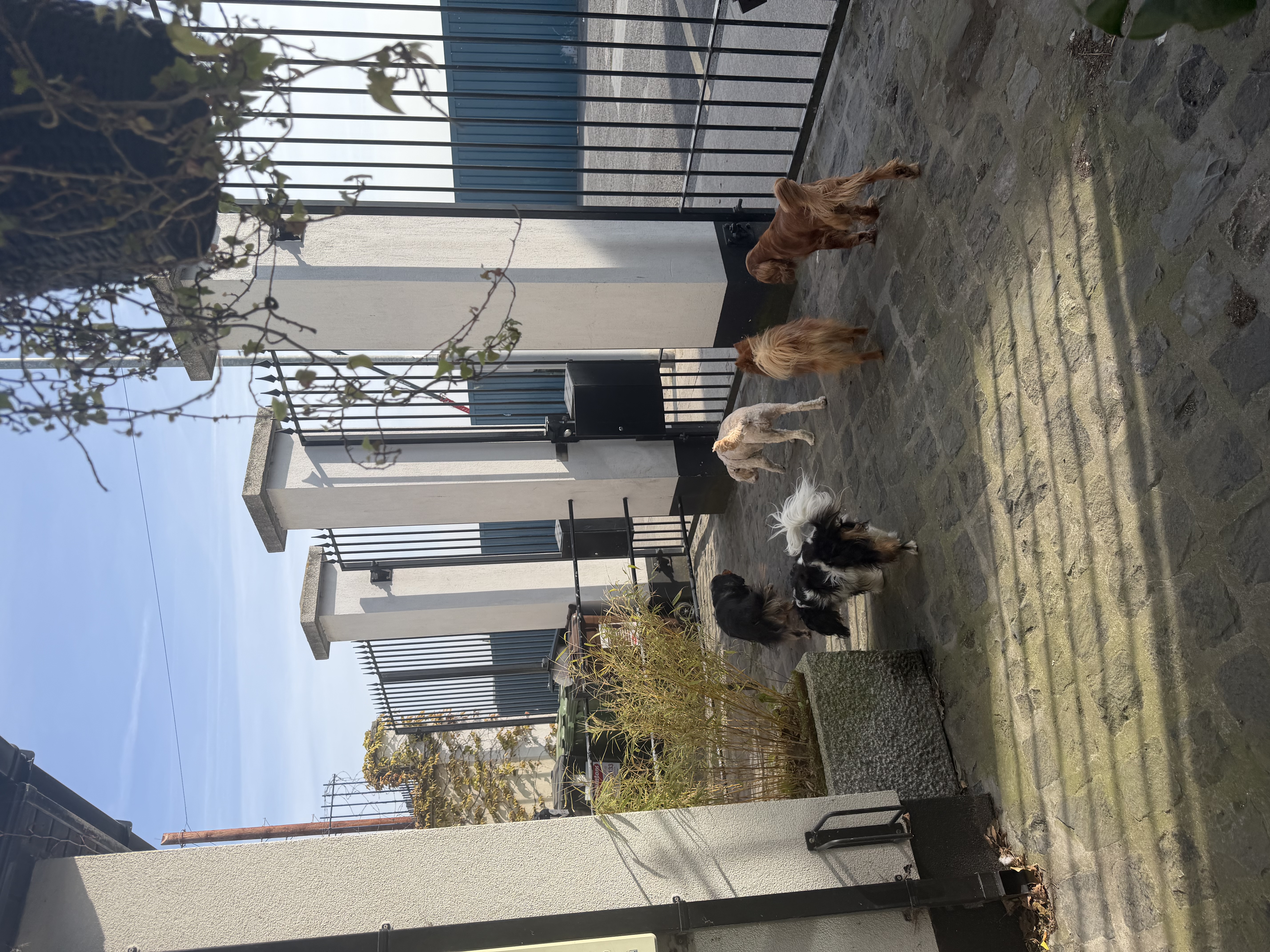 image-14