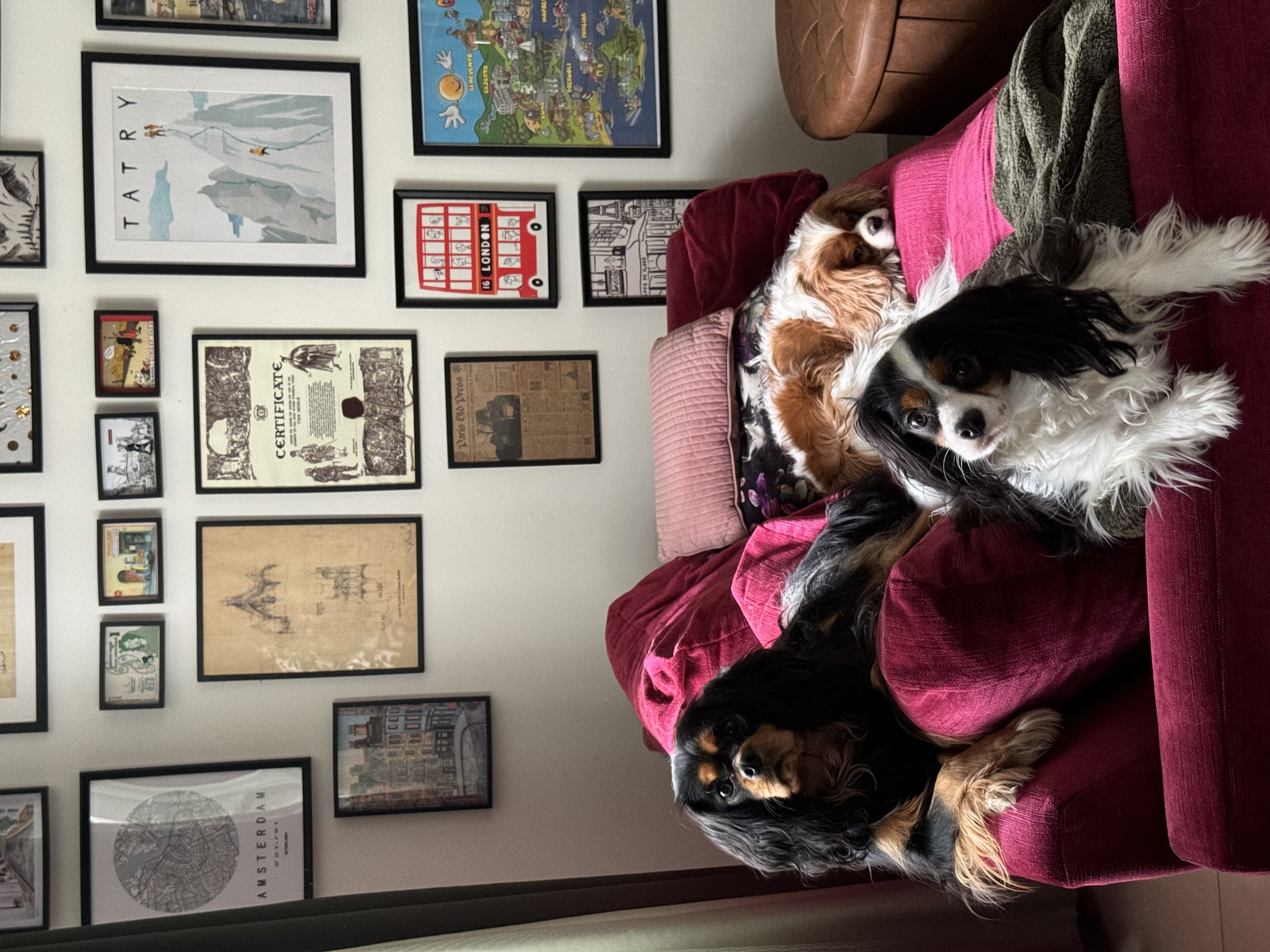 image-18