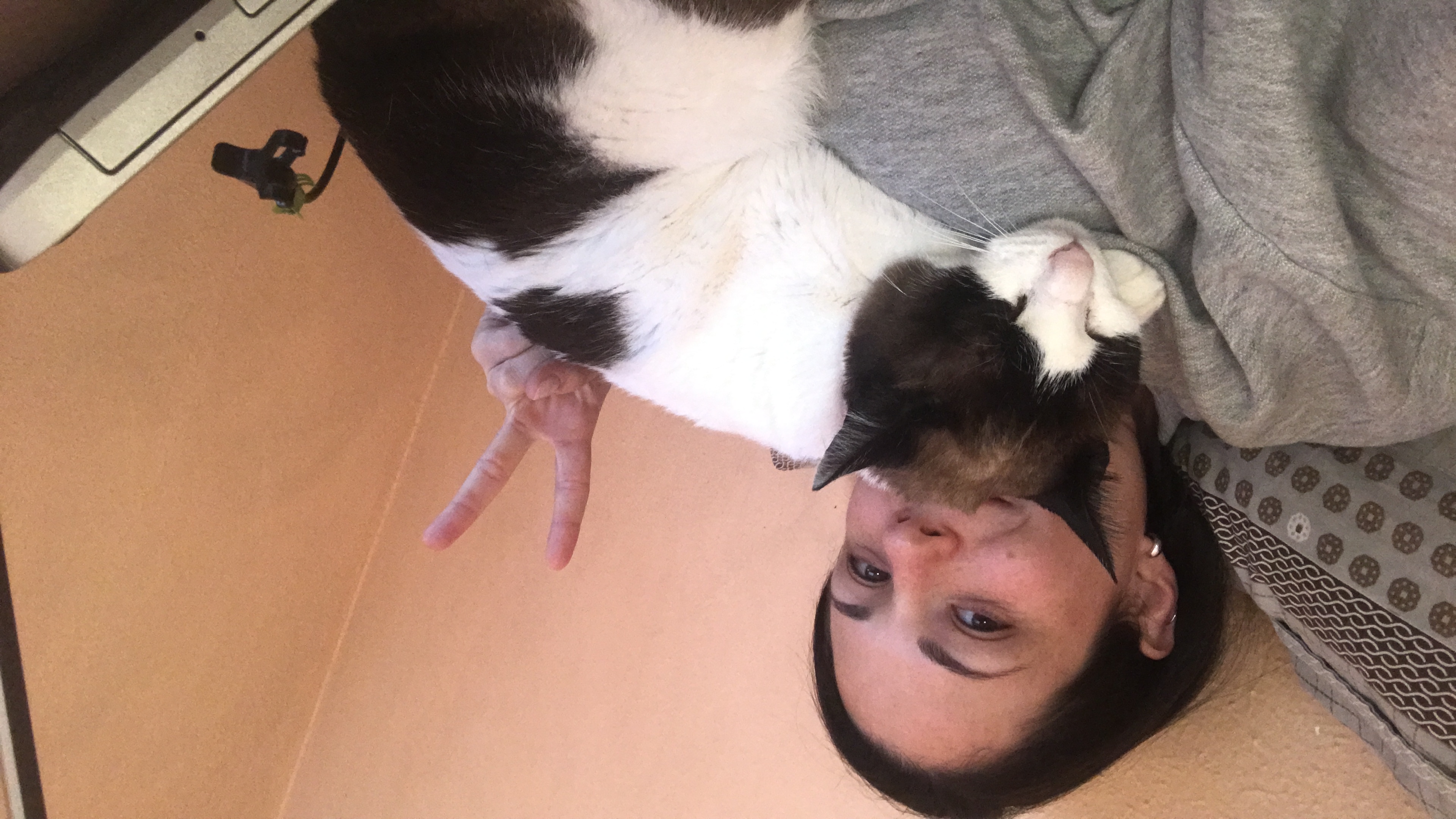 image-6
