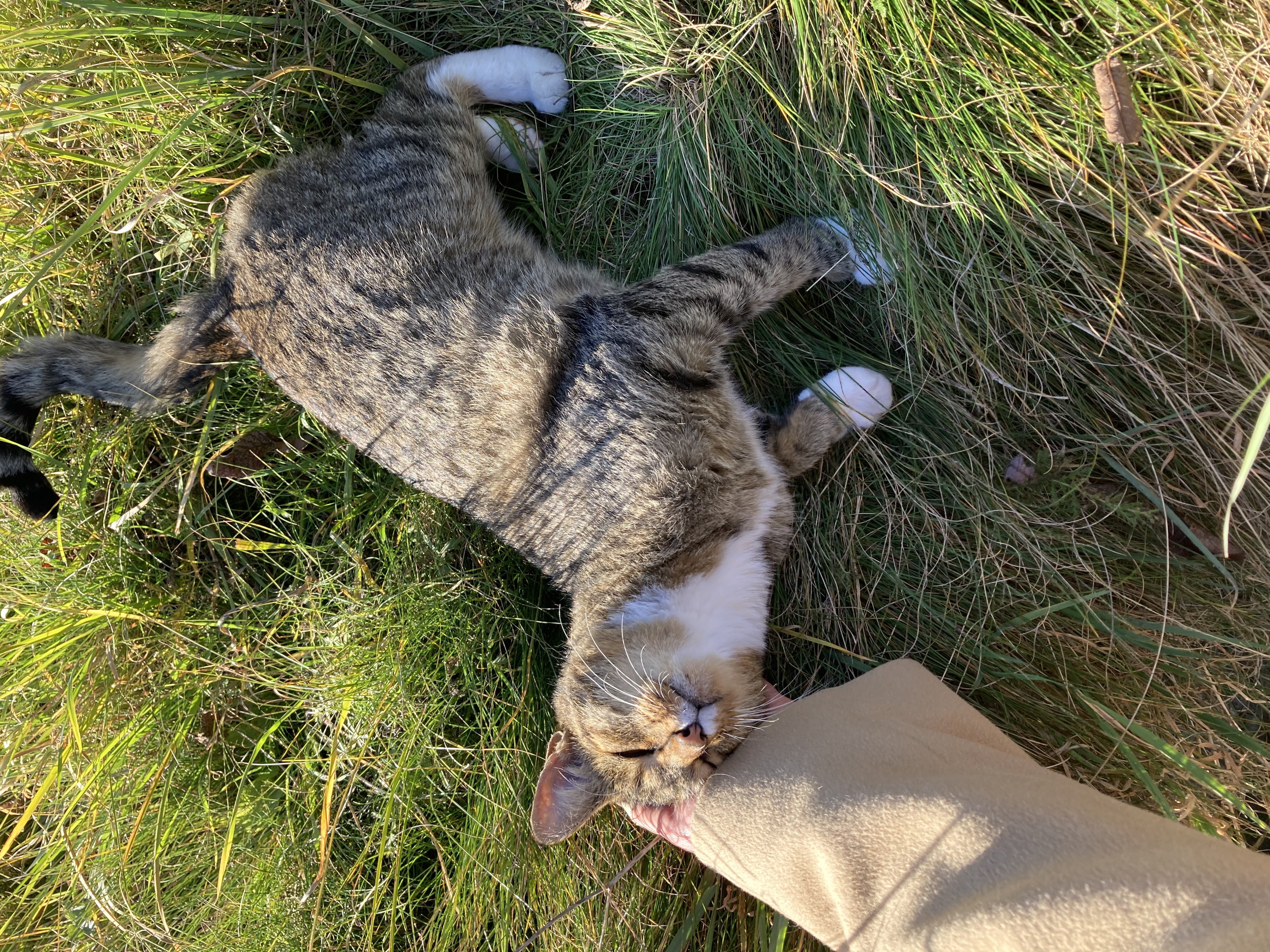 image-10