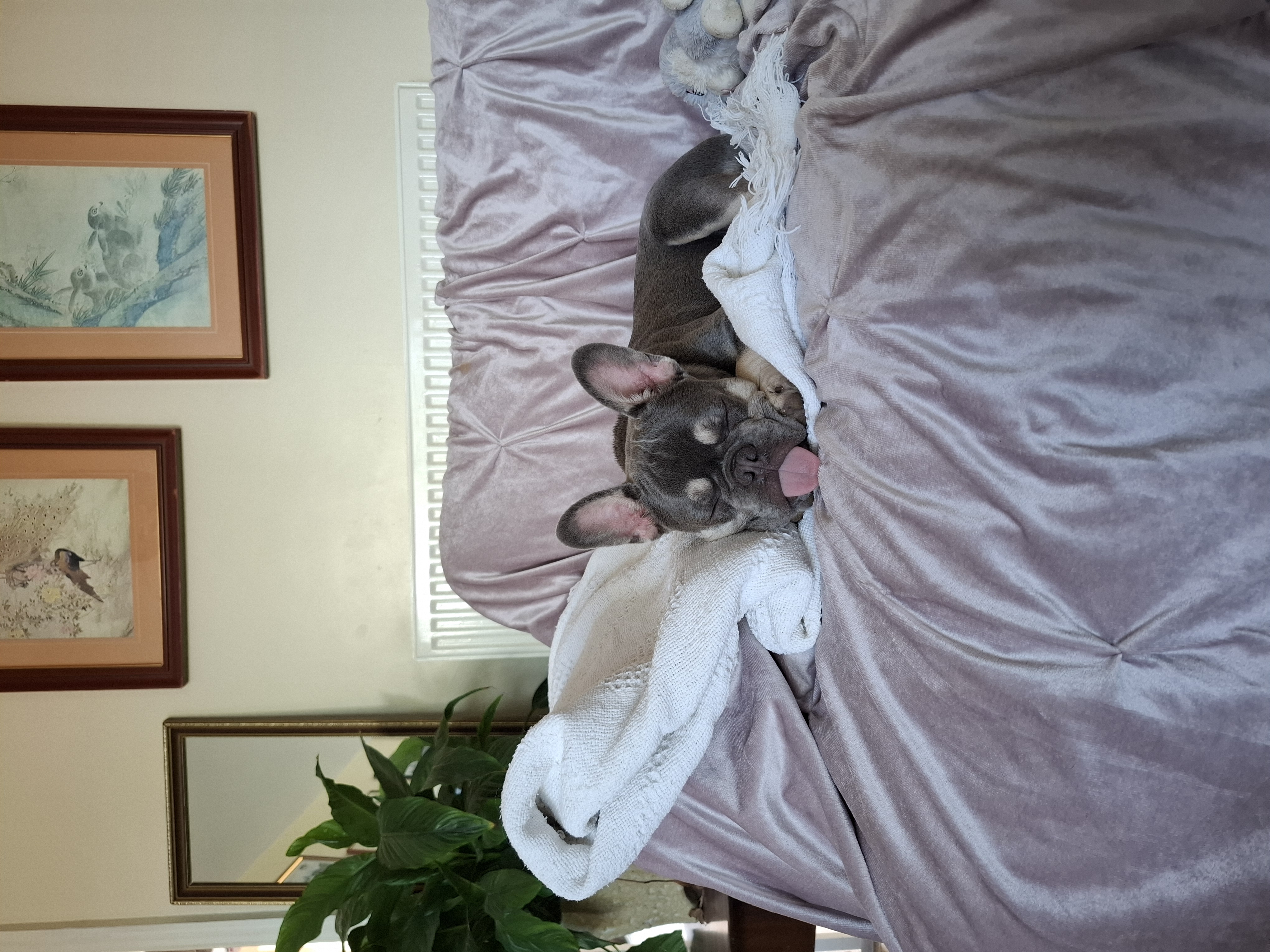 image-11