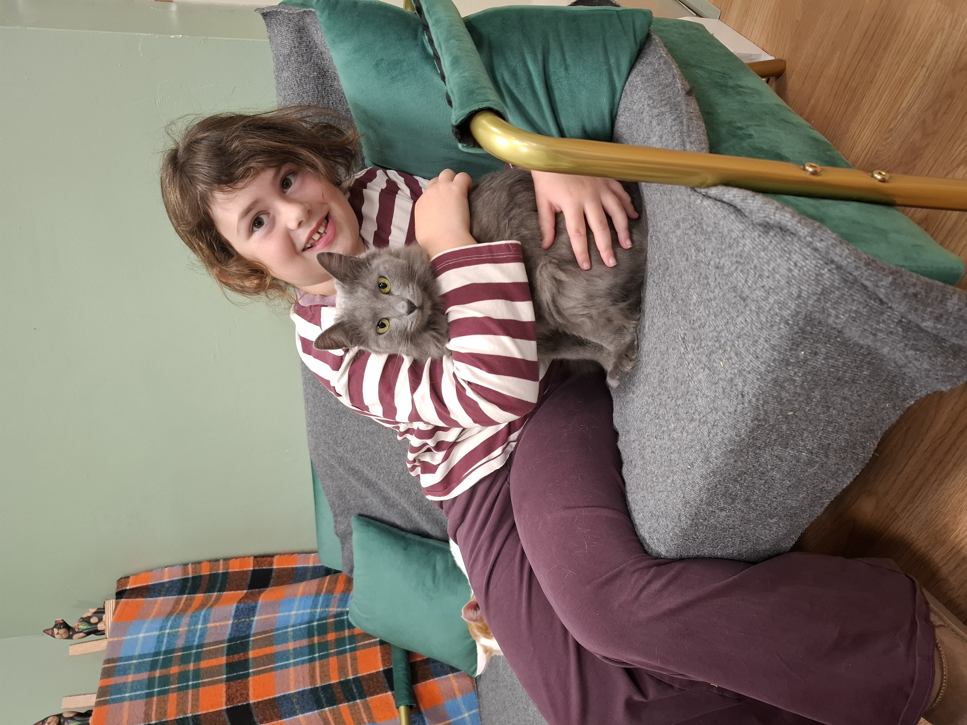 image-5