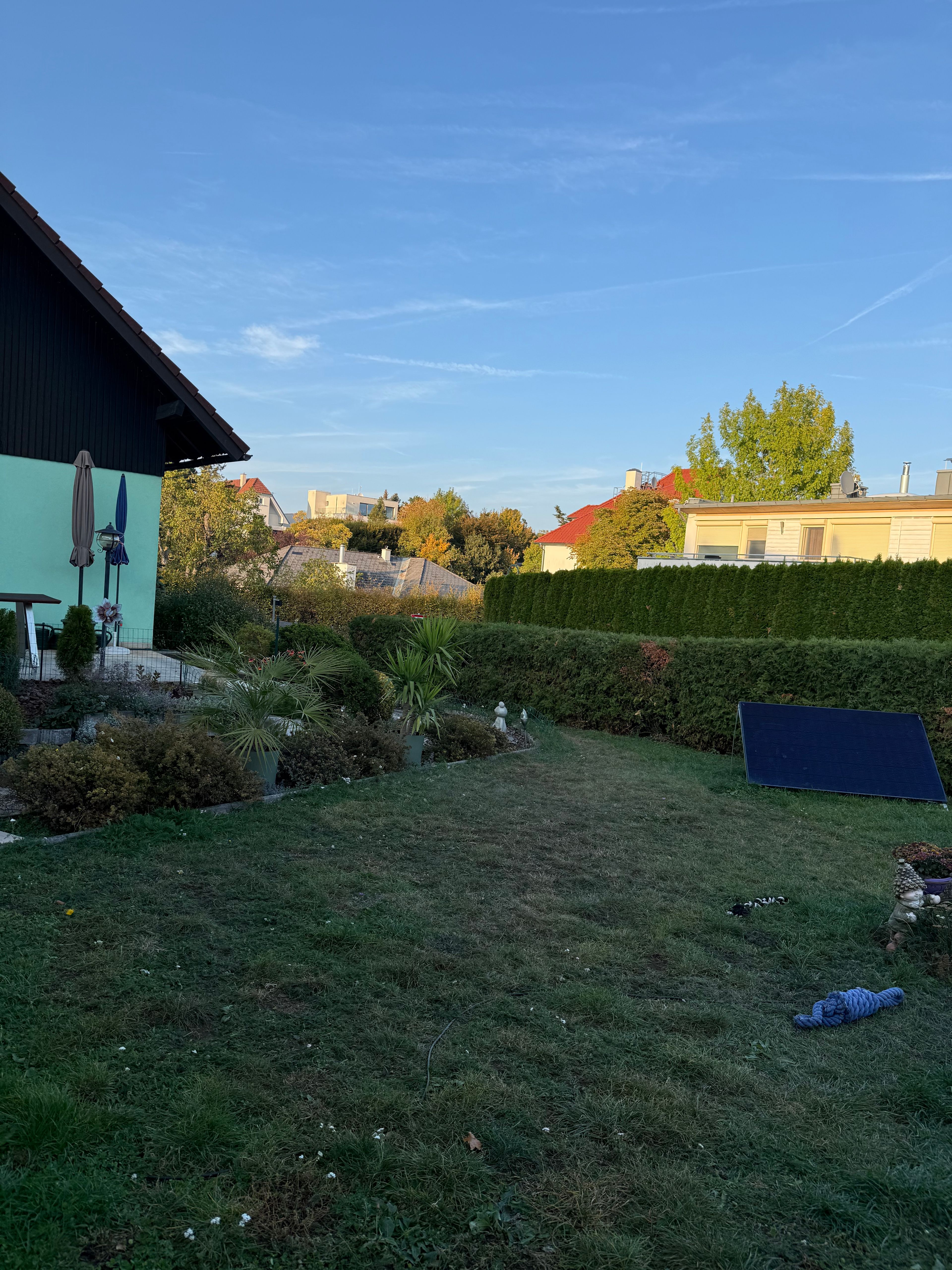 image-15