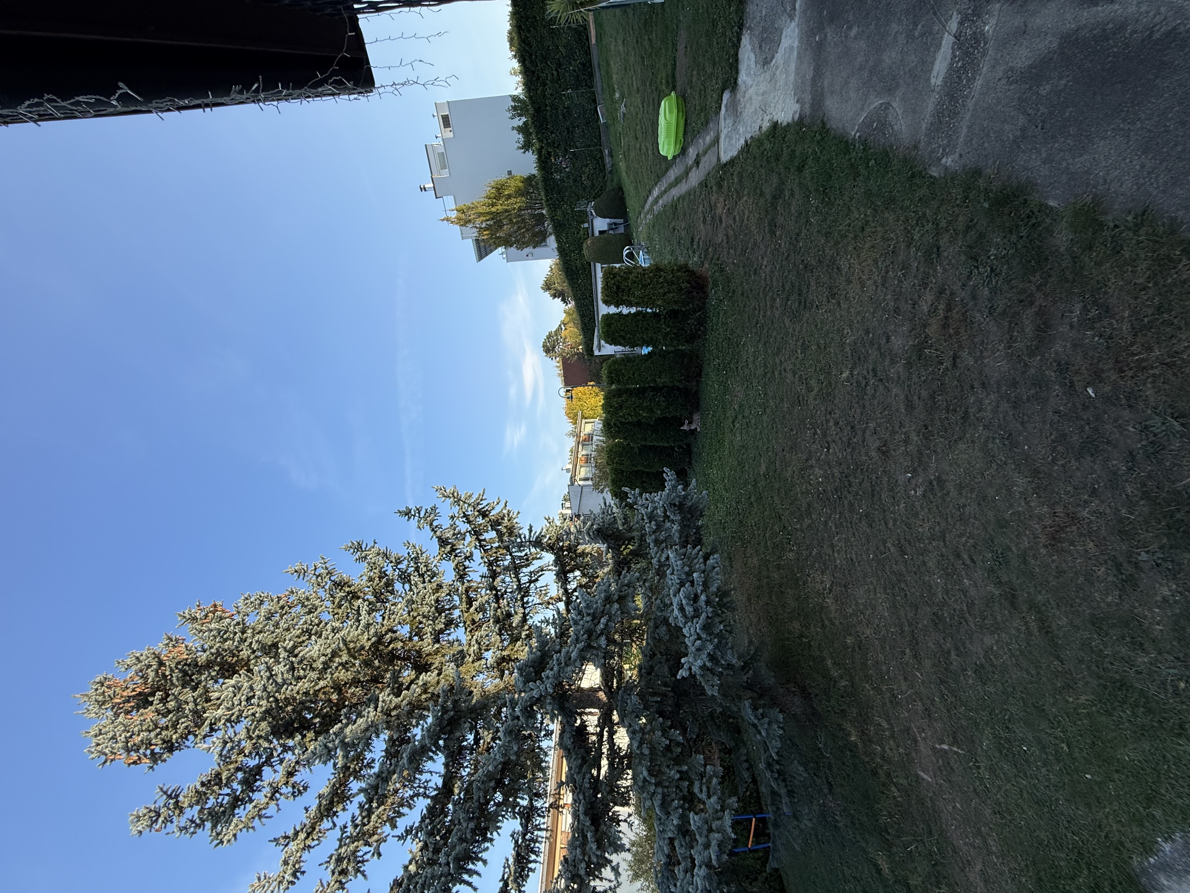 image-19