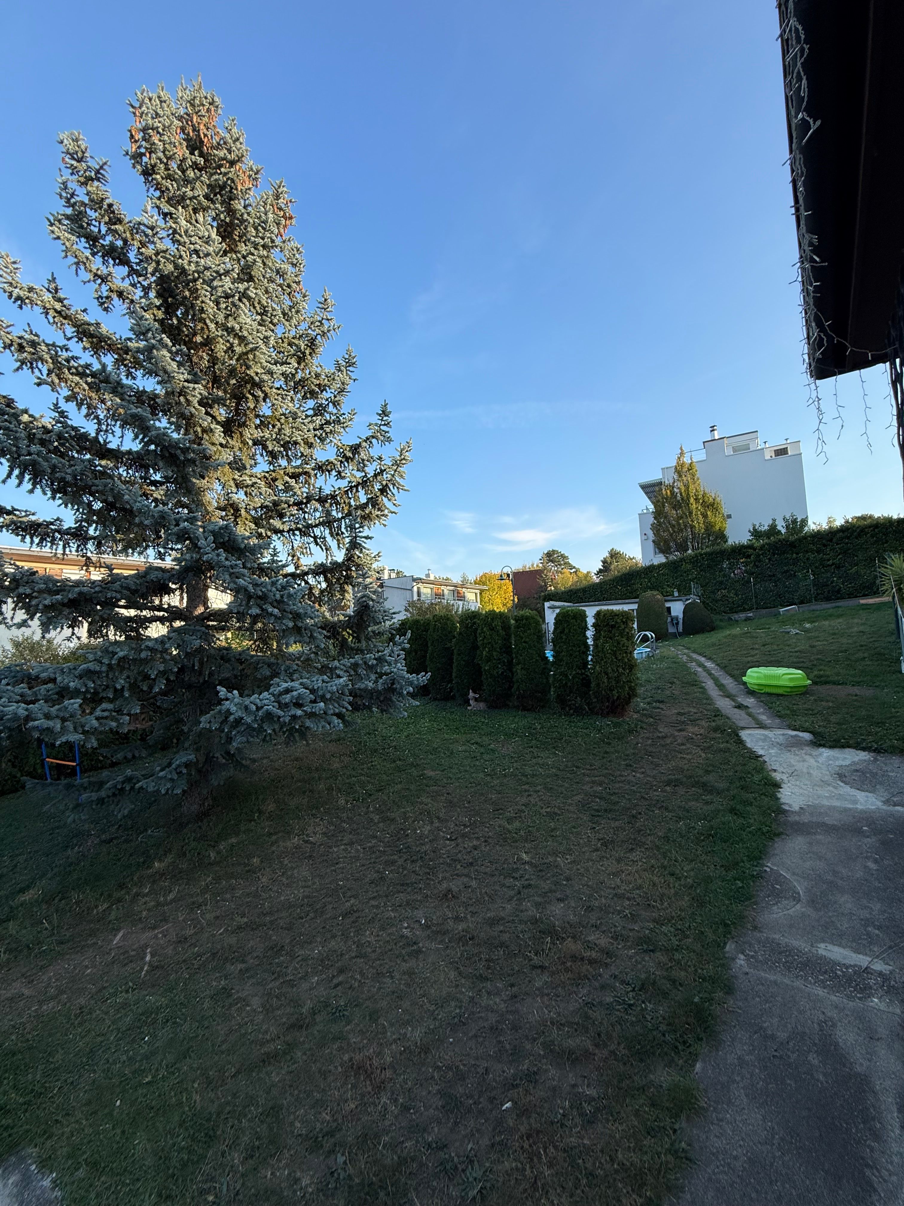 image-19