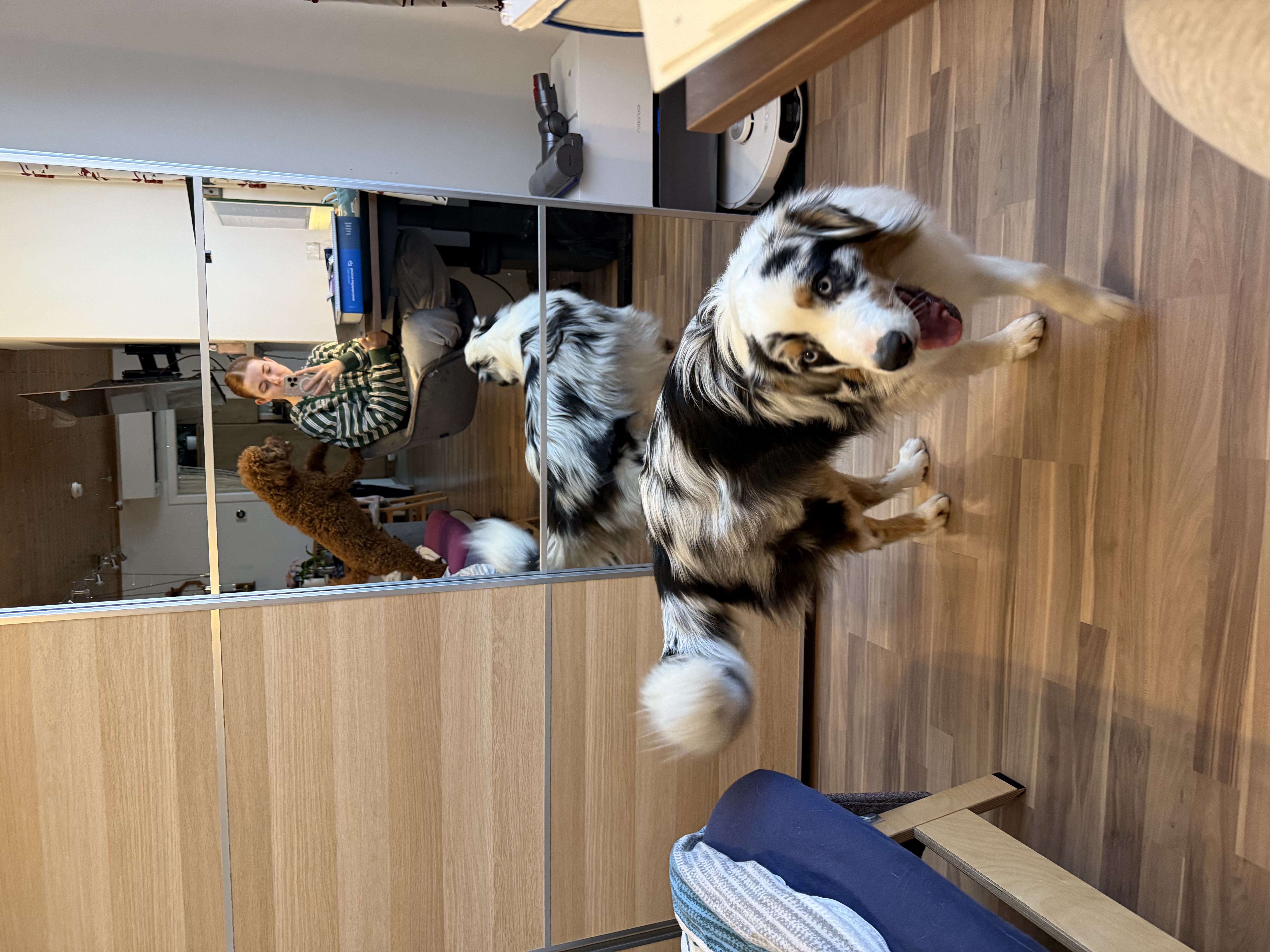 image-6