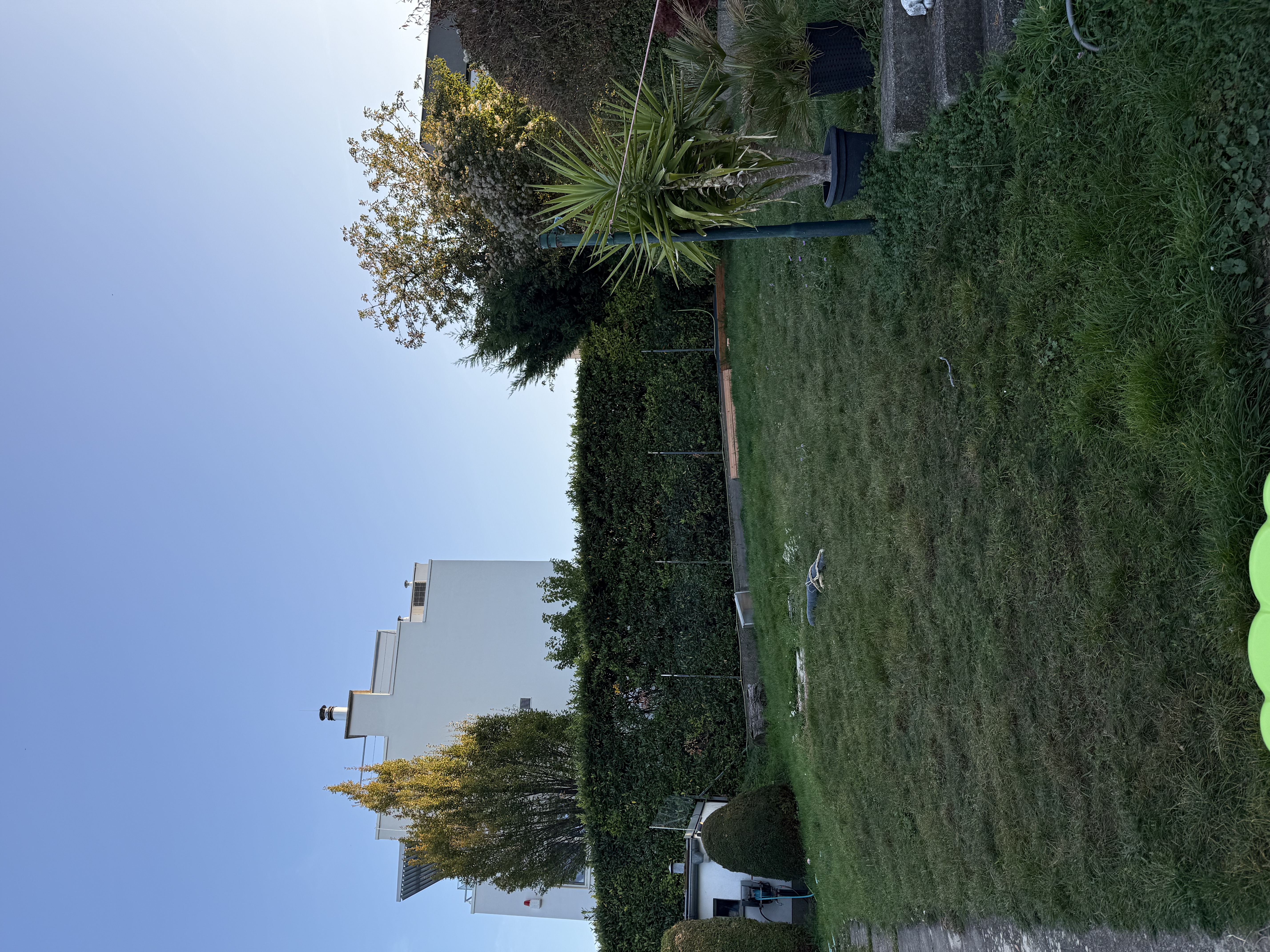 image-17