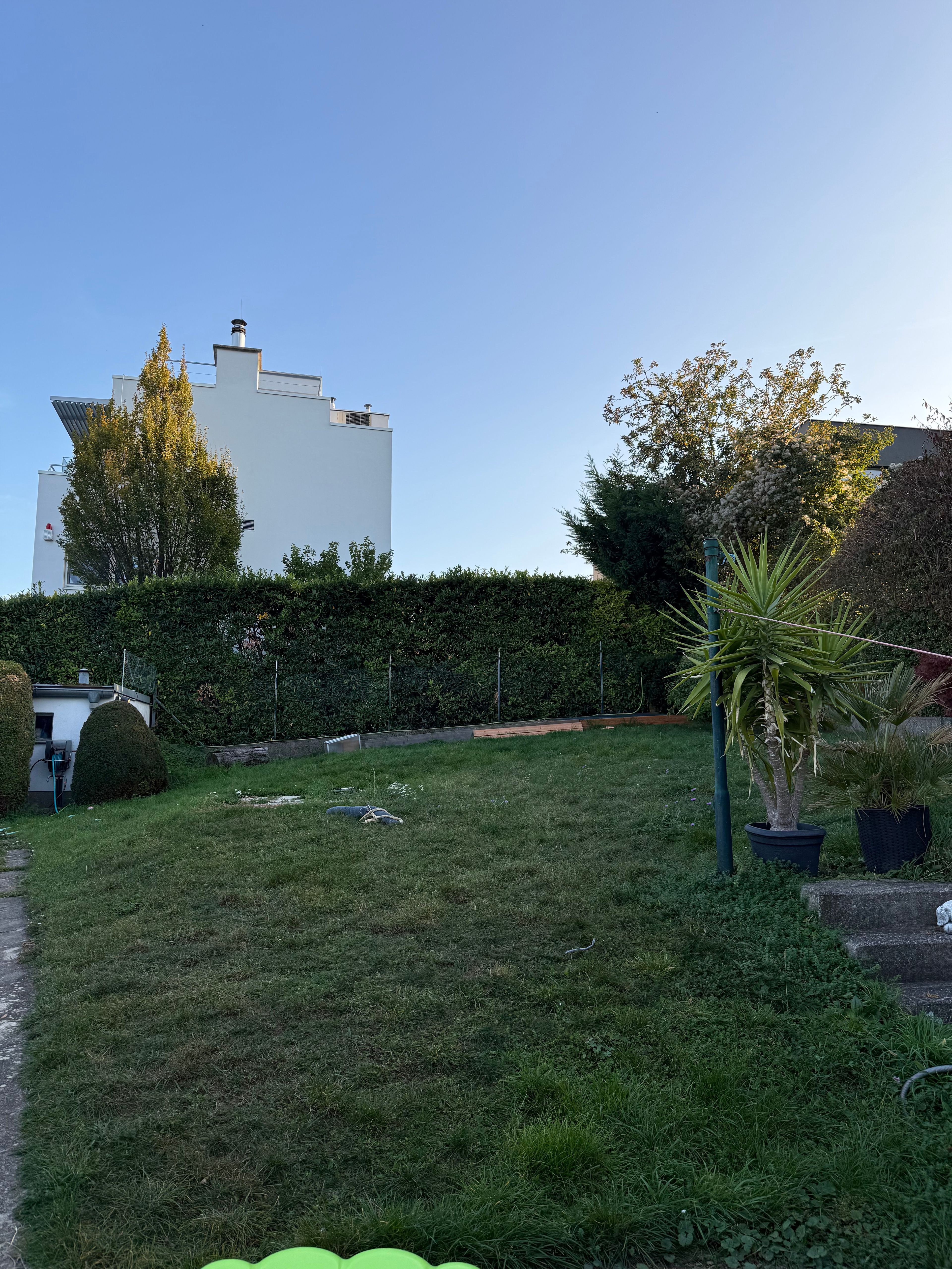 image-17