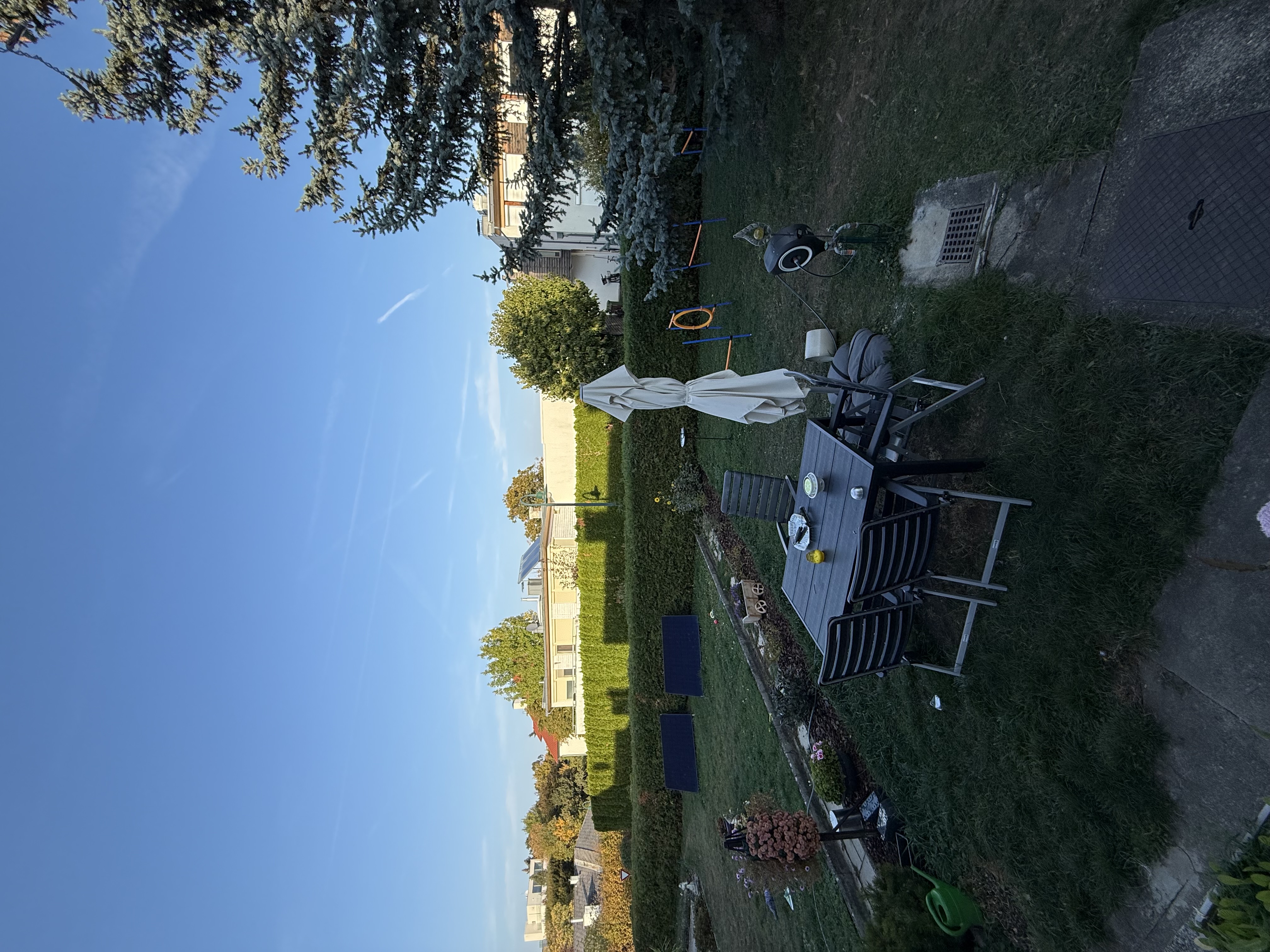 image-20