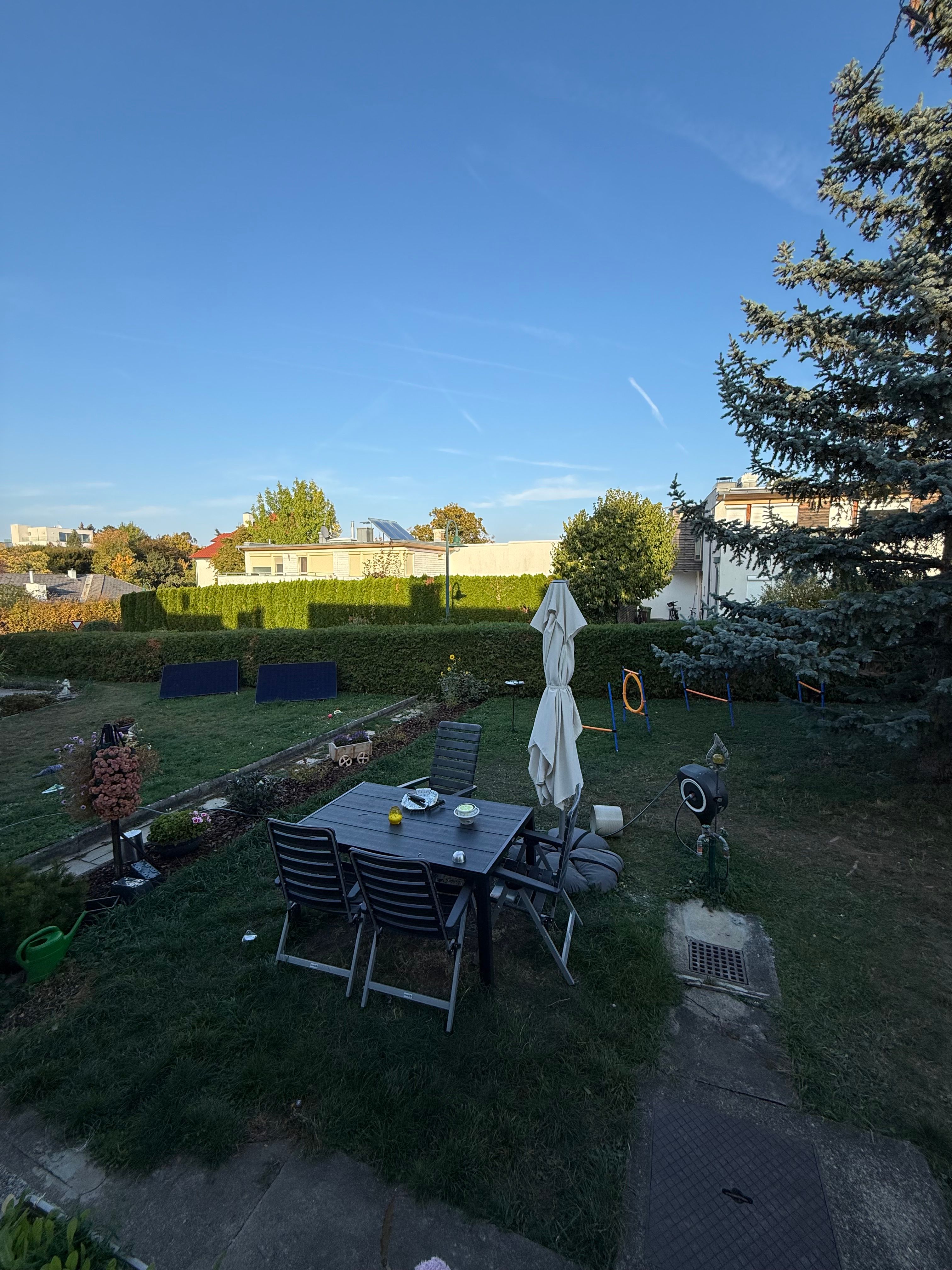 image-20