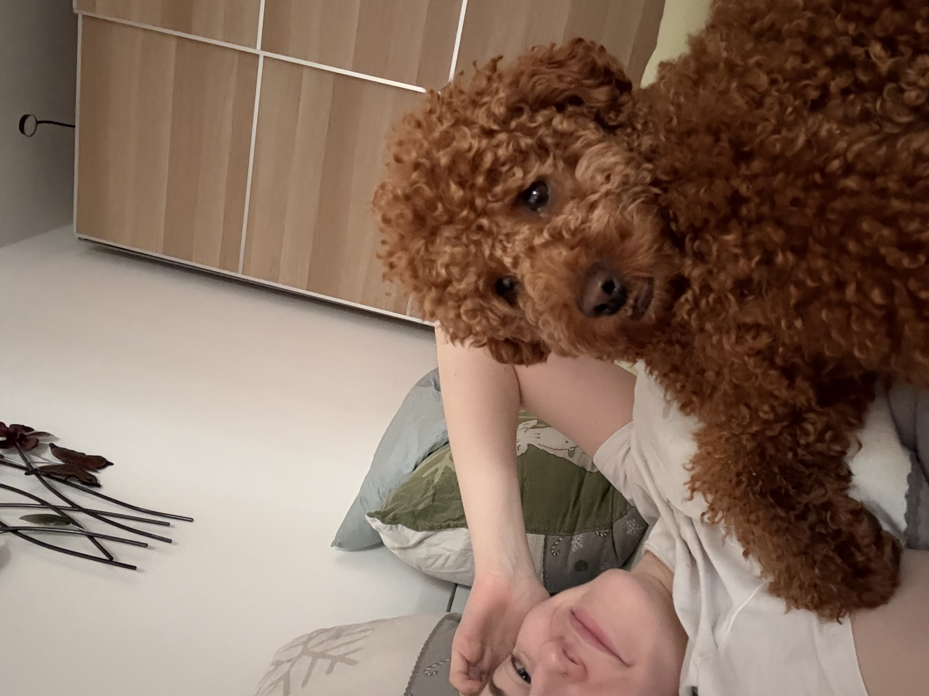 image-8
