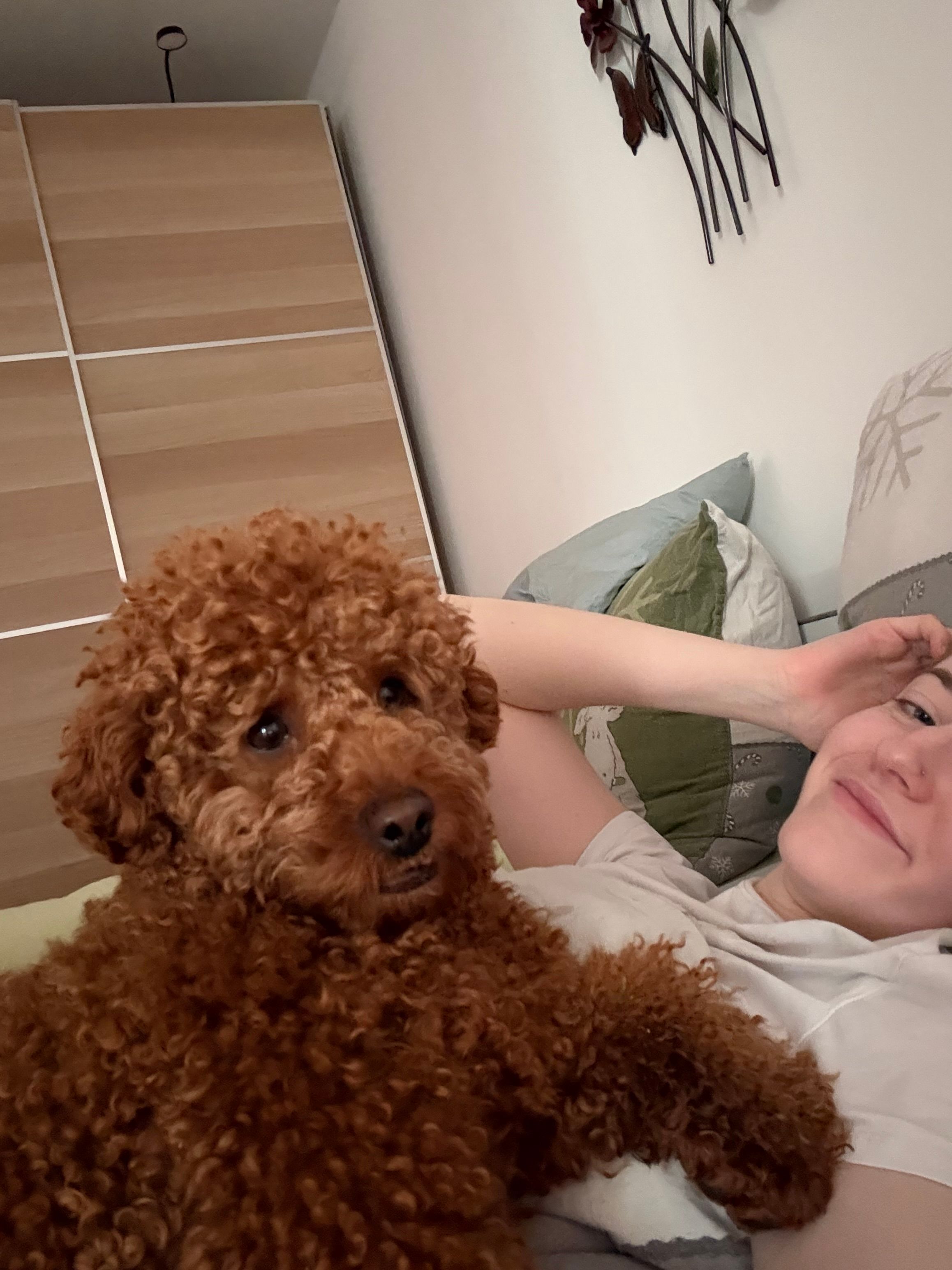 image-8