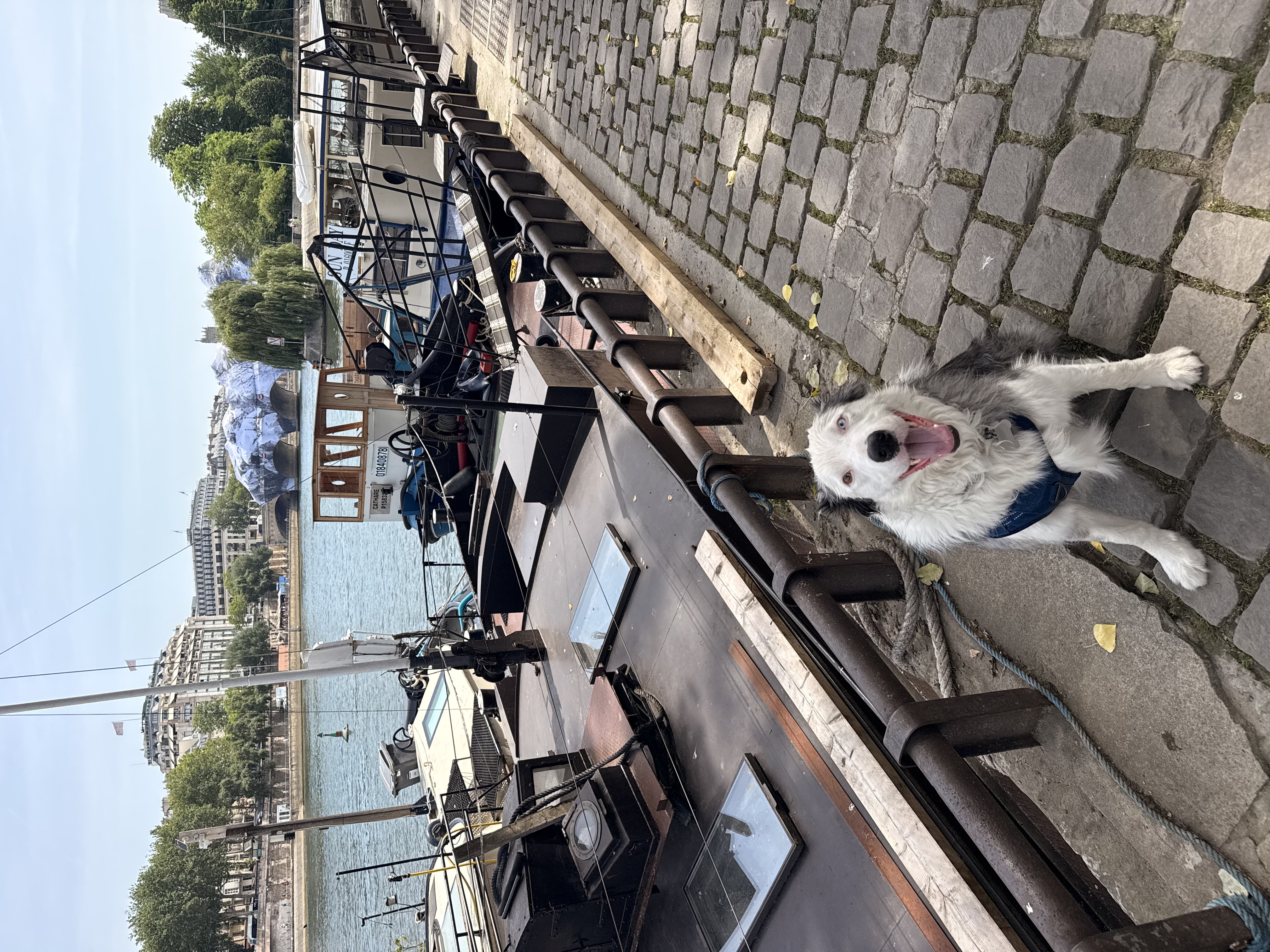 image-5