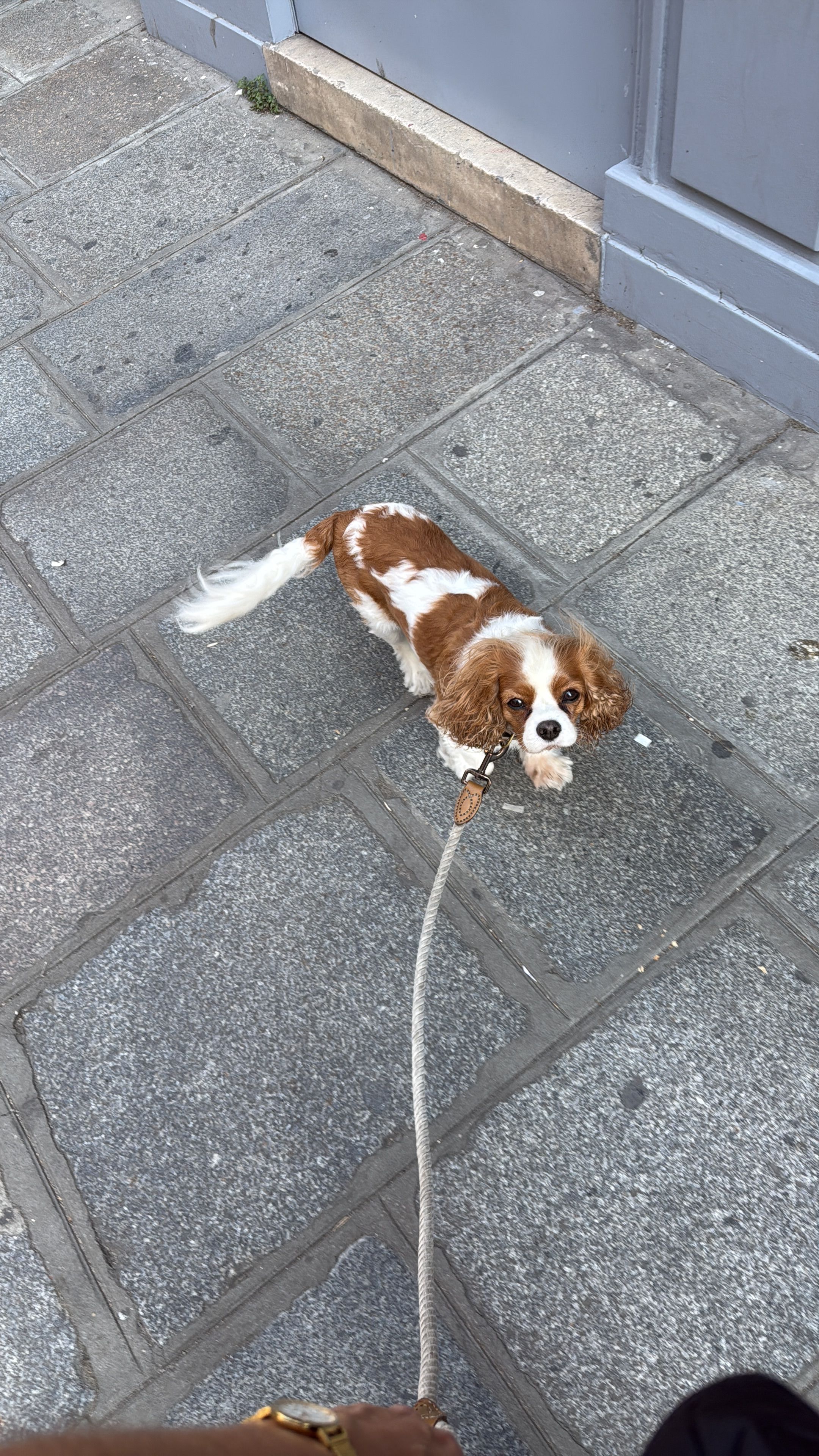 image-8