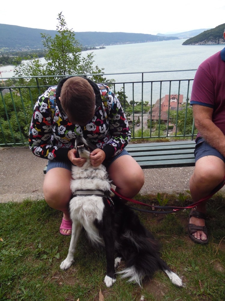 image-5