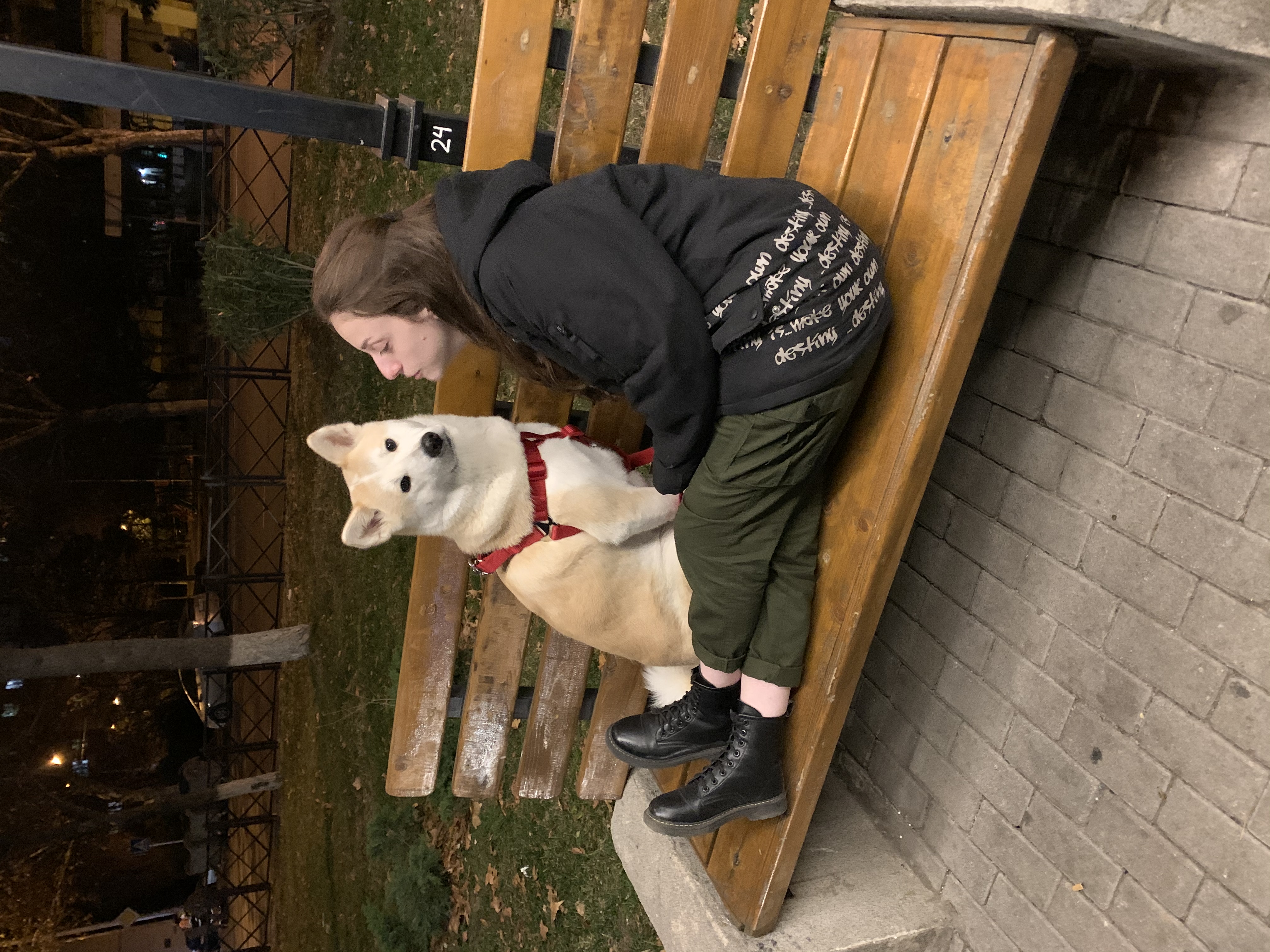 image-6