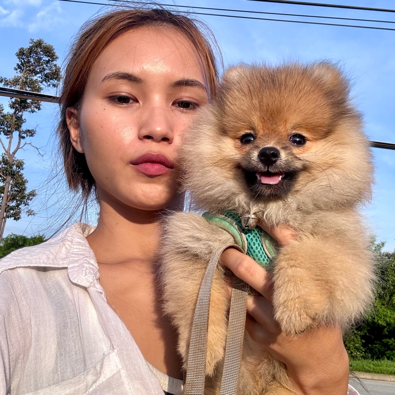 Phitchaya