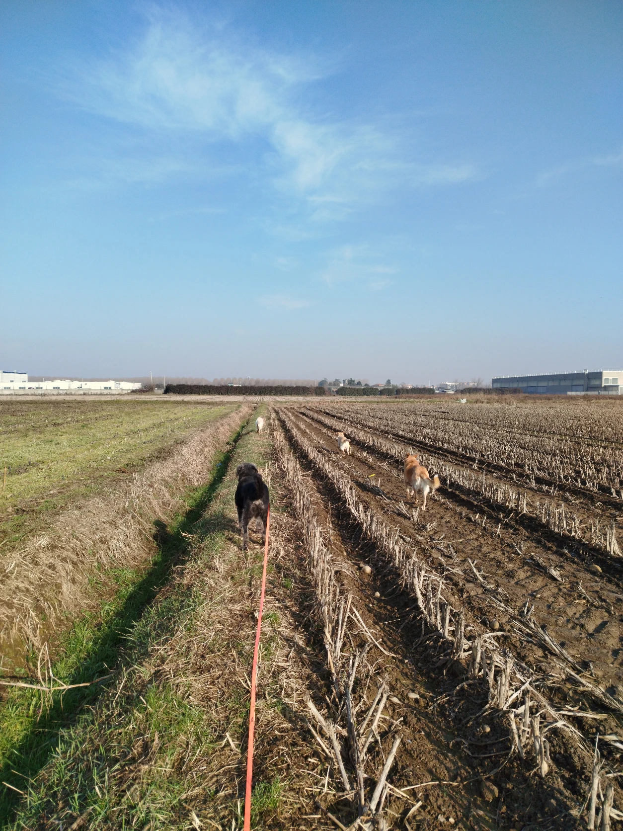 image-16