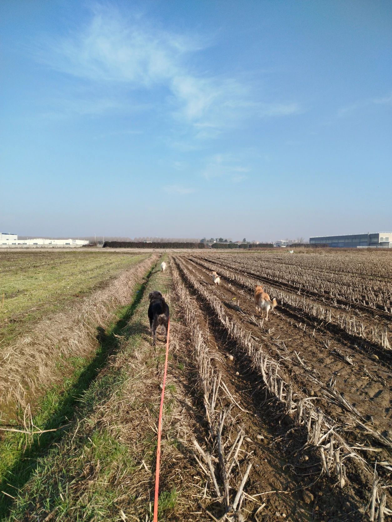 image-16