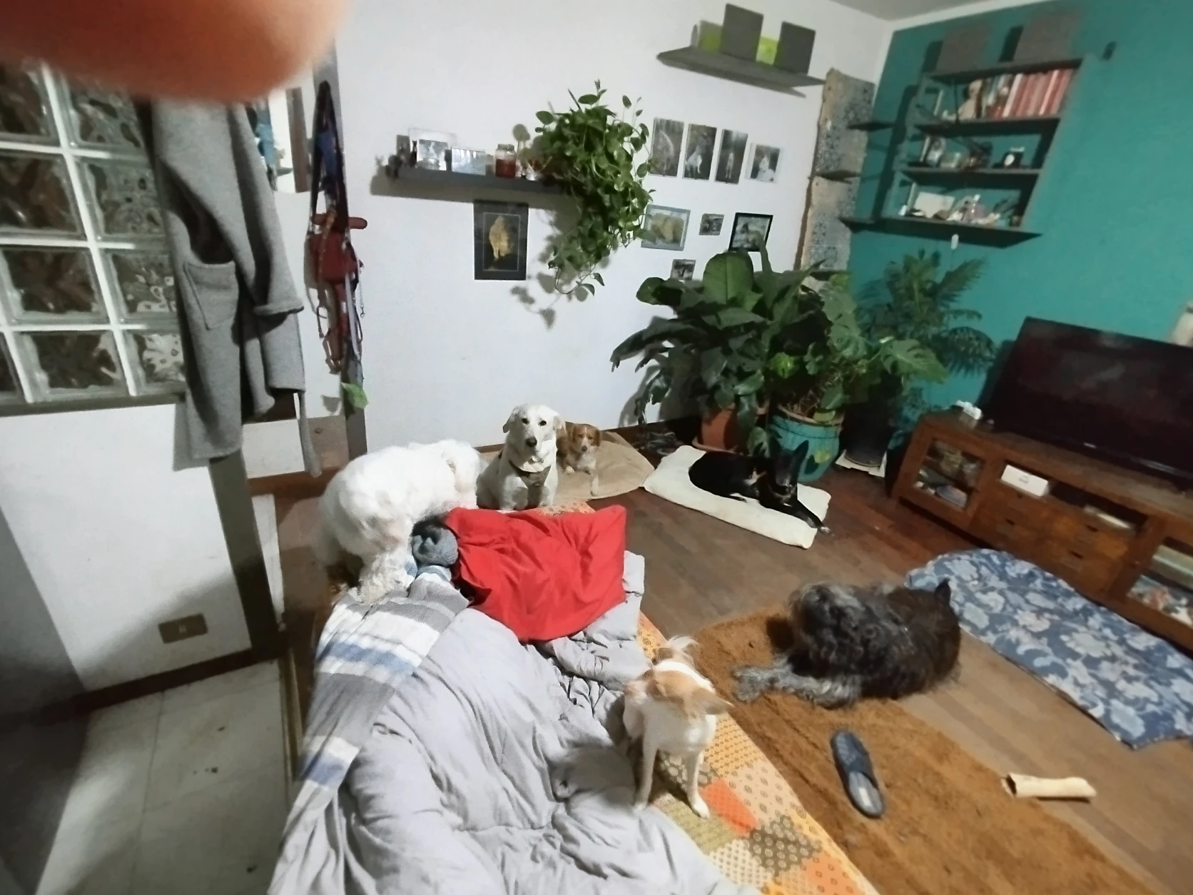 image-37