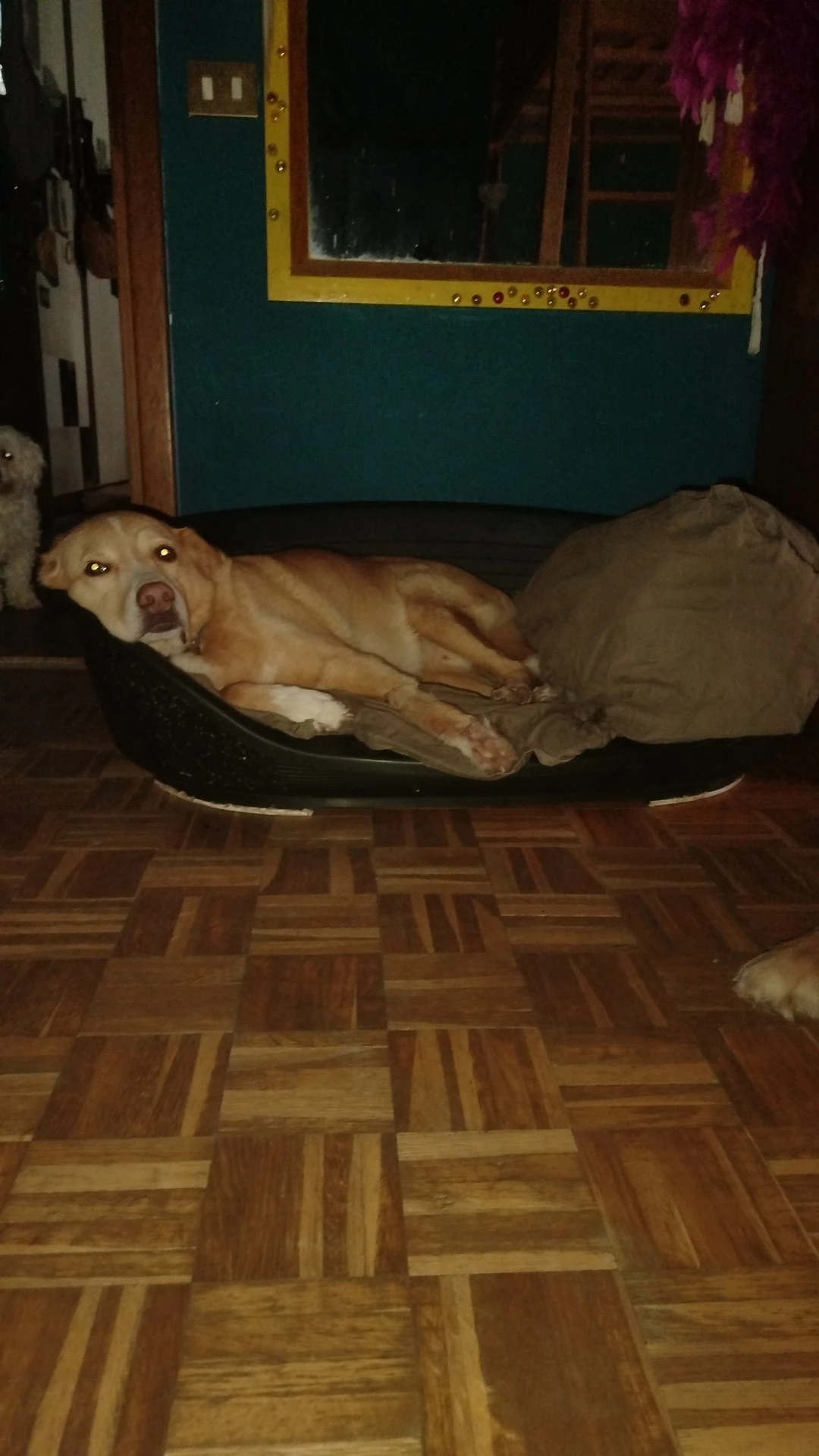 image-53