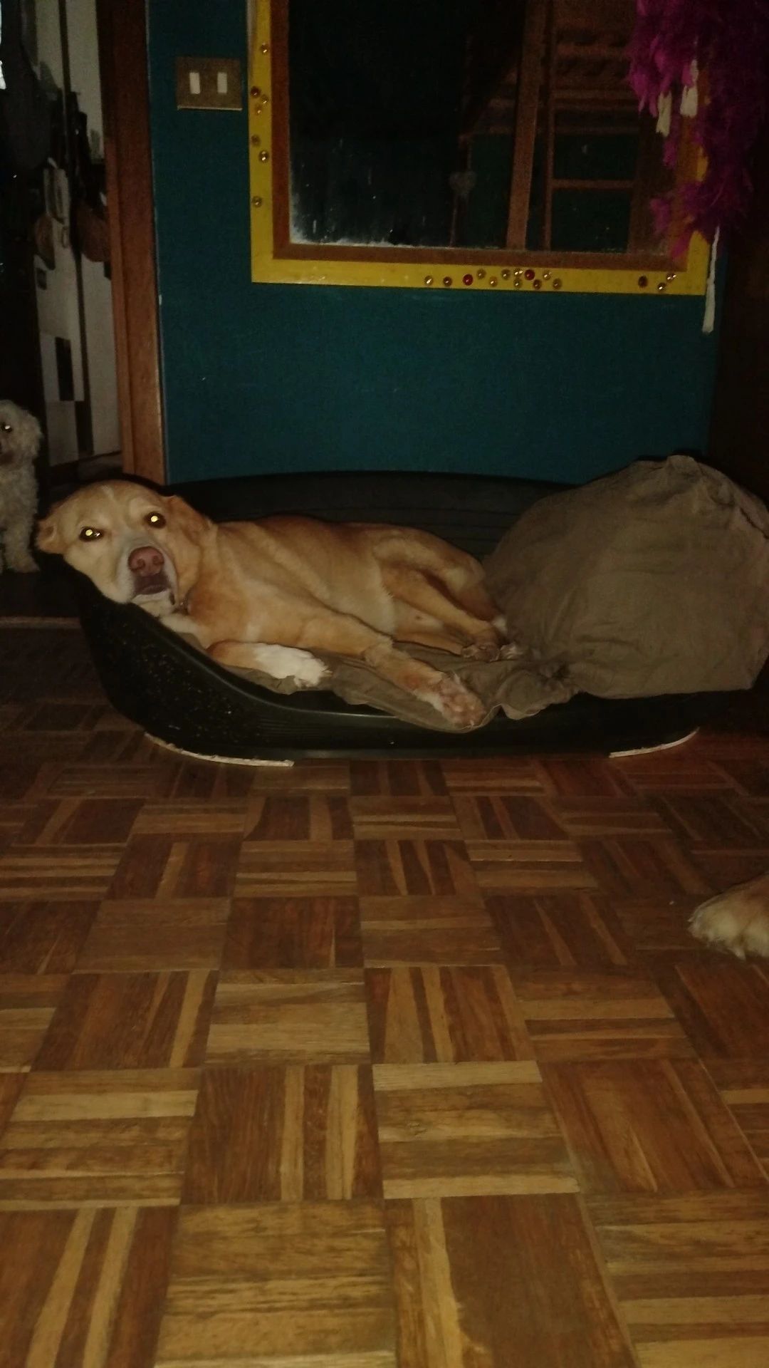 image-53