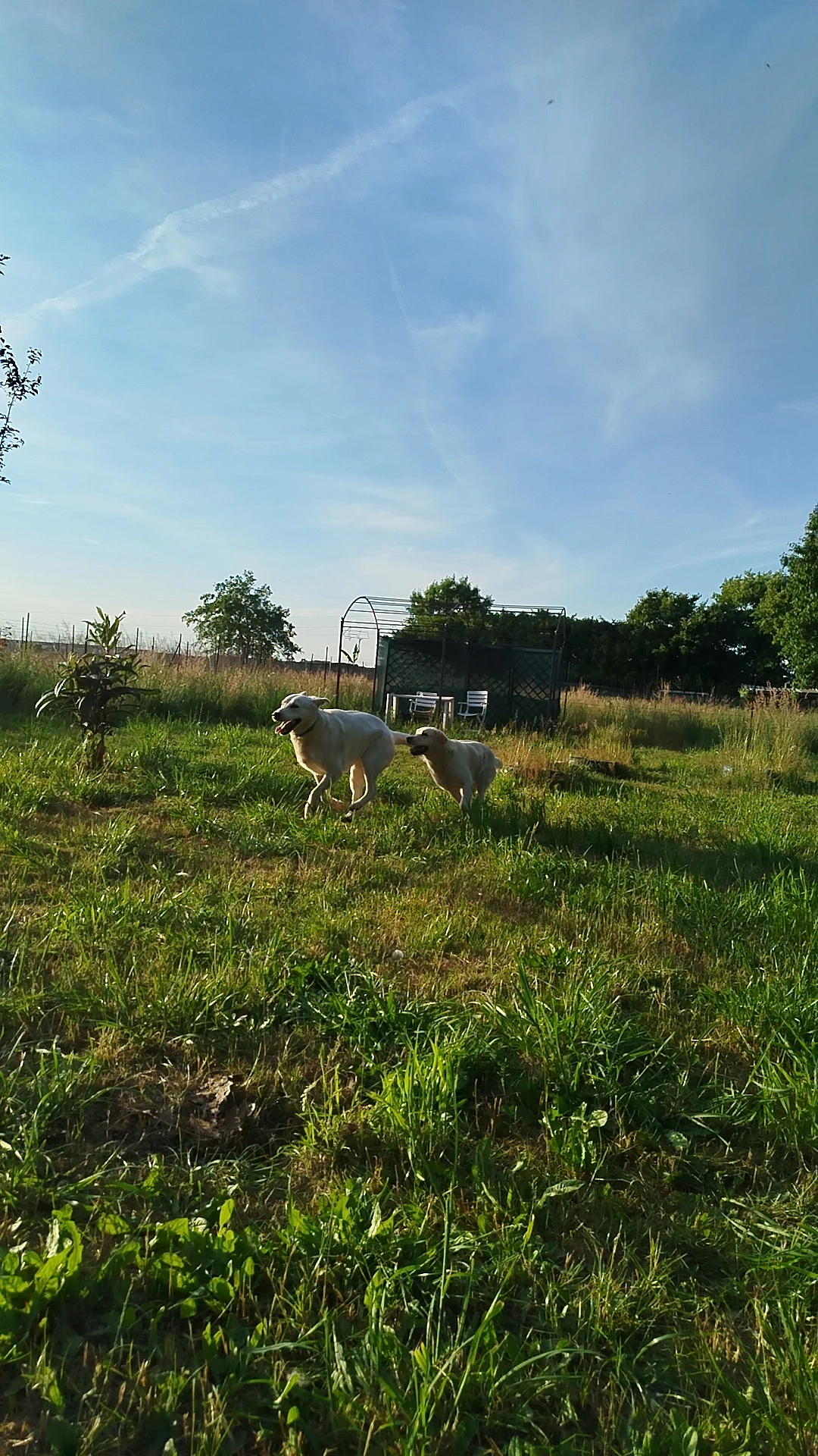 image-65