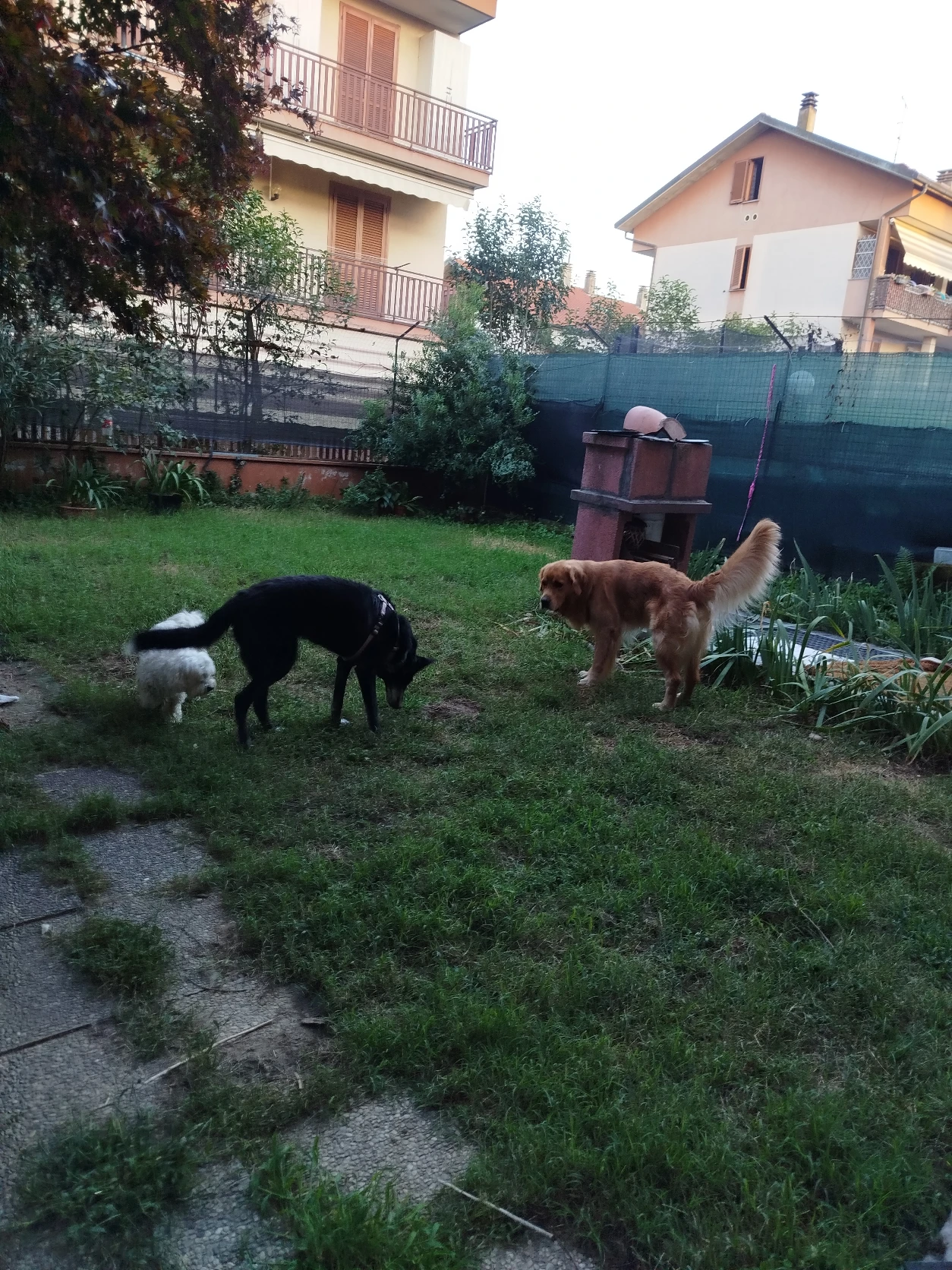 image-52