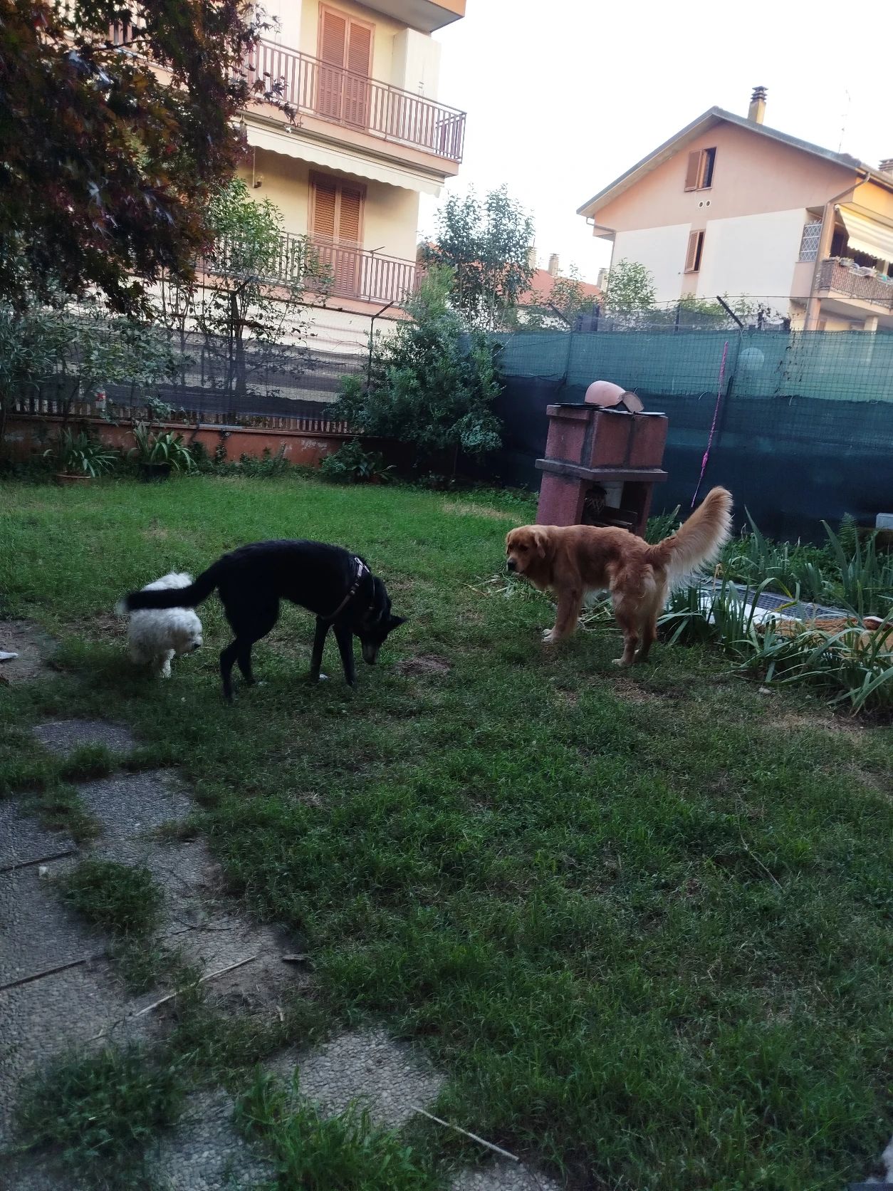 image-52