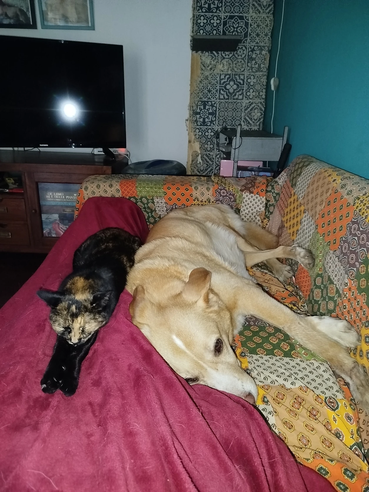 image-49