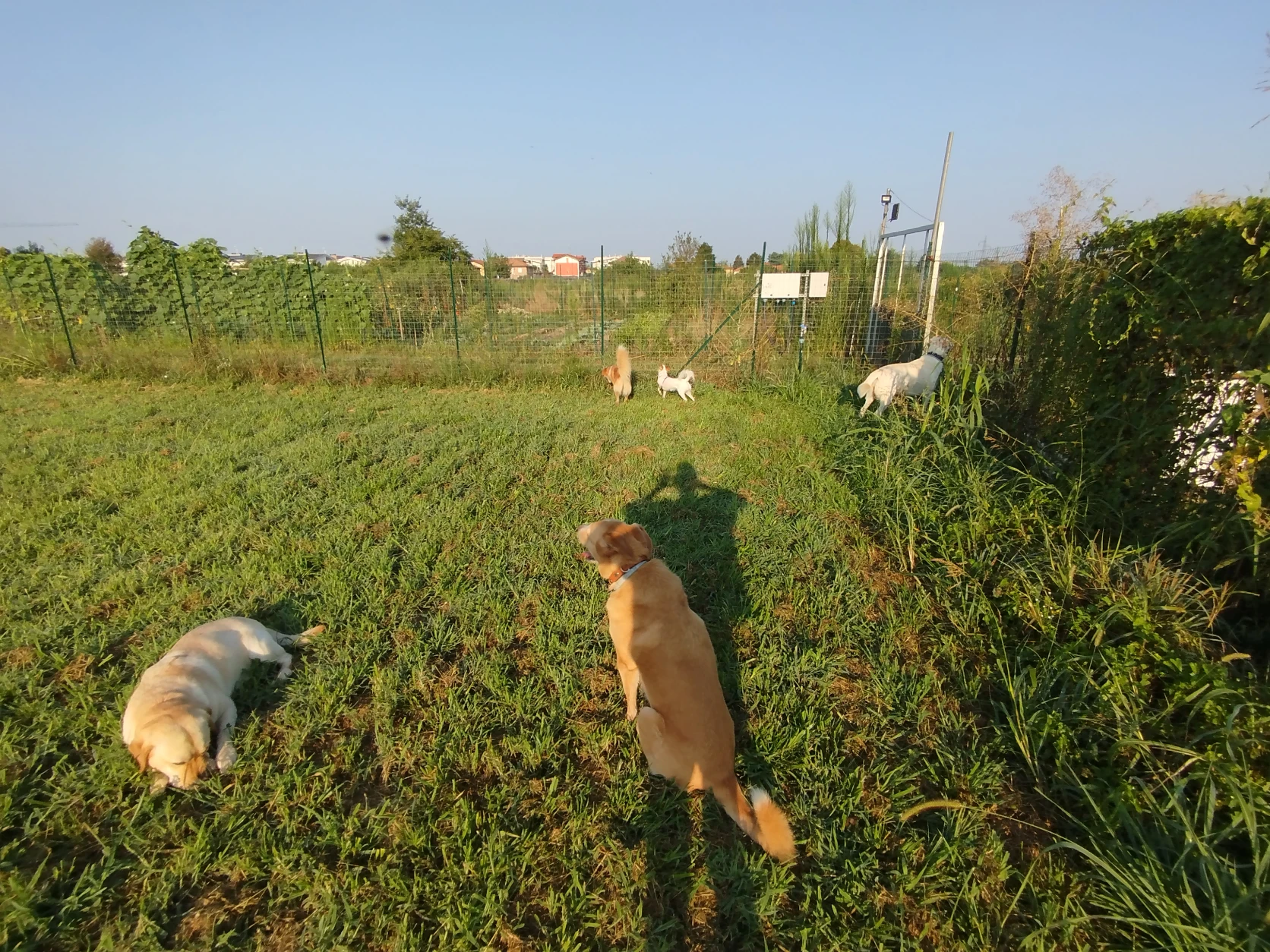 image-4