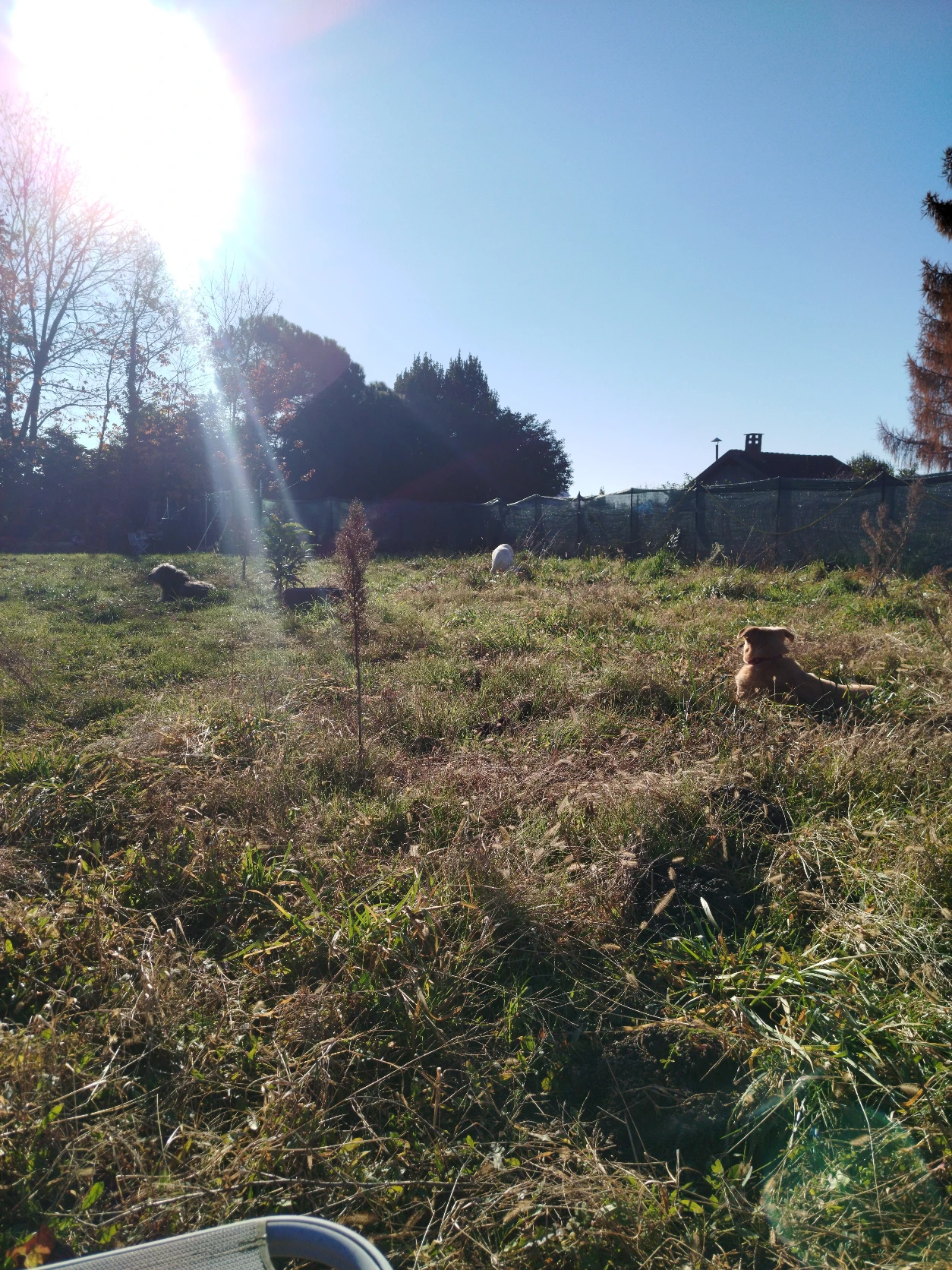 image-18
