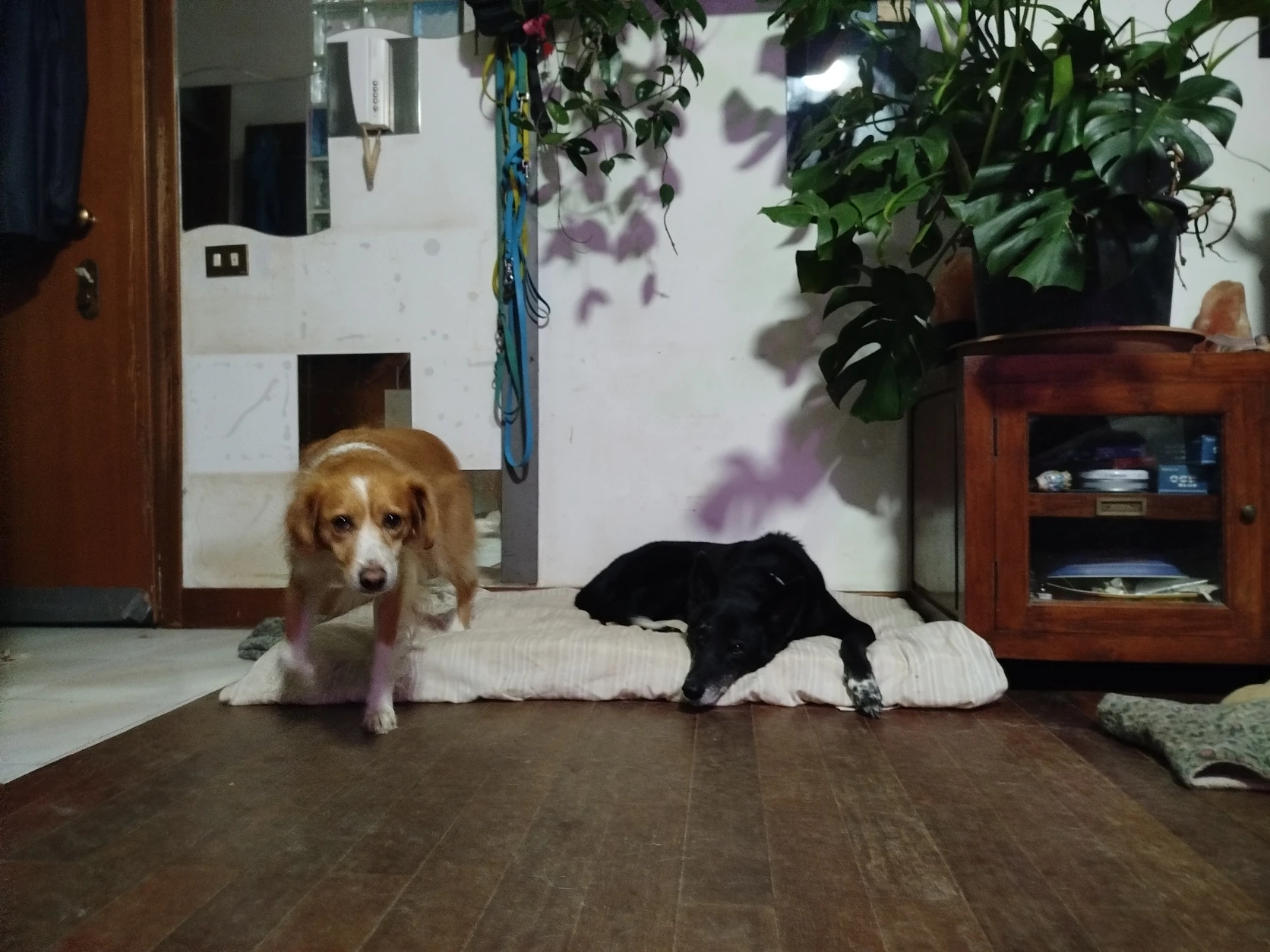 image-47