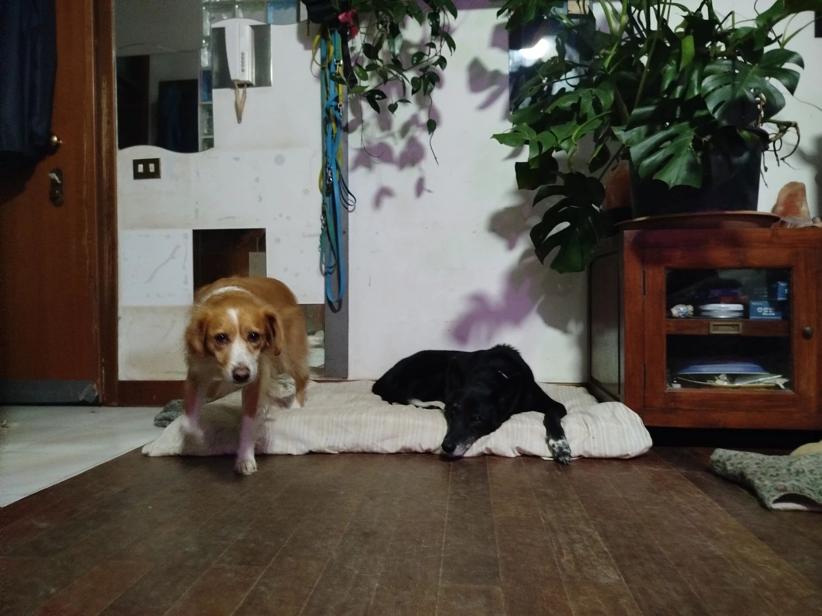 image-47