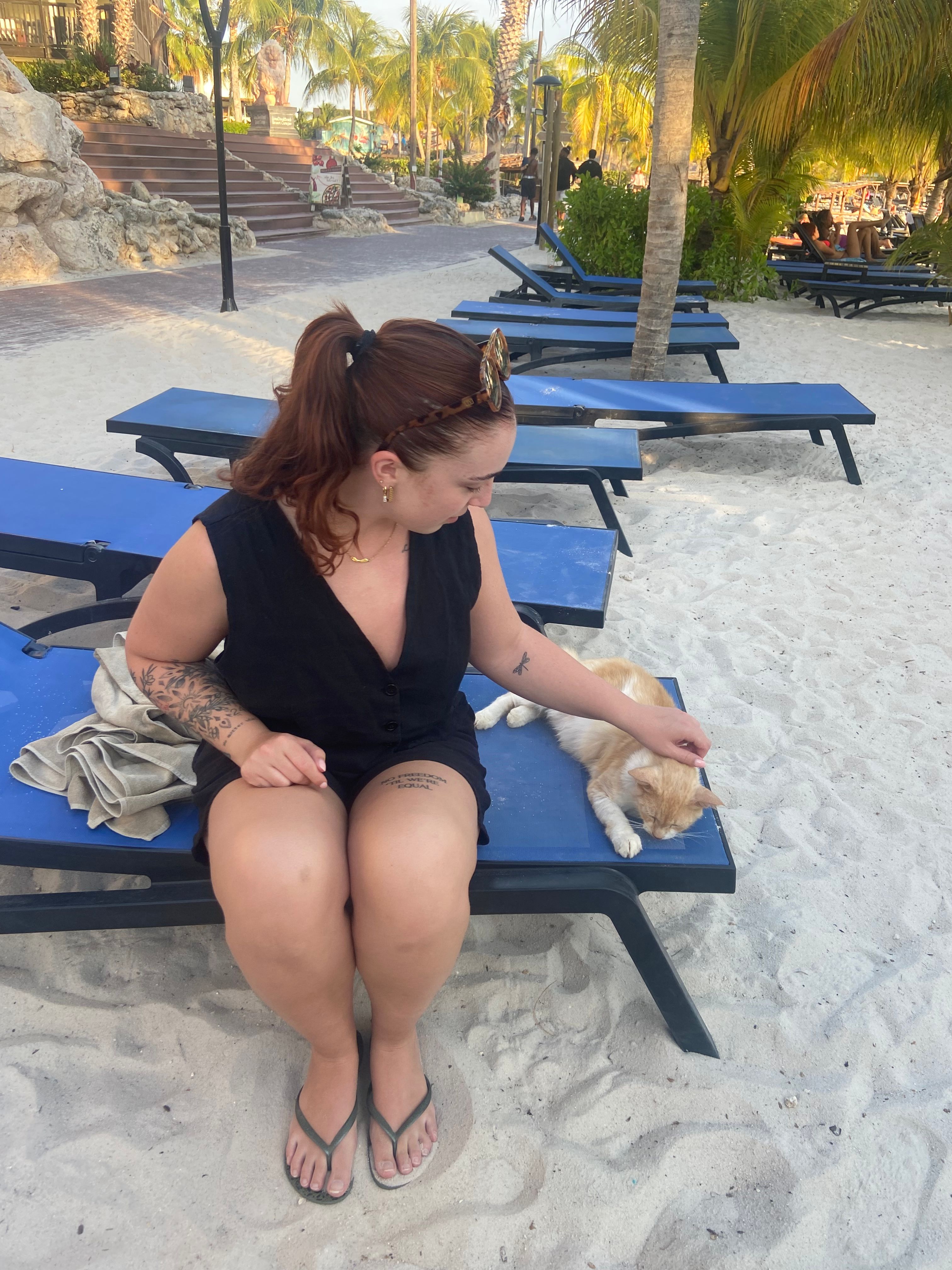 image-7