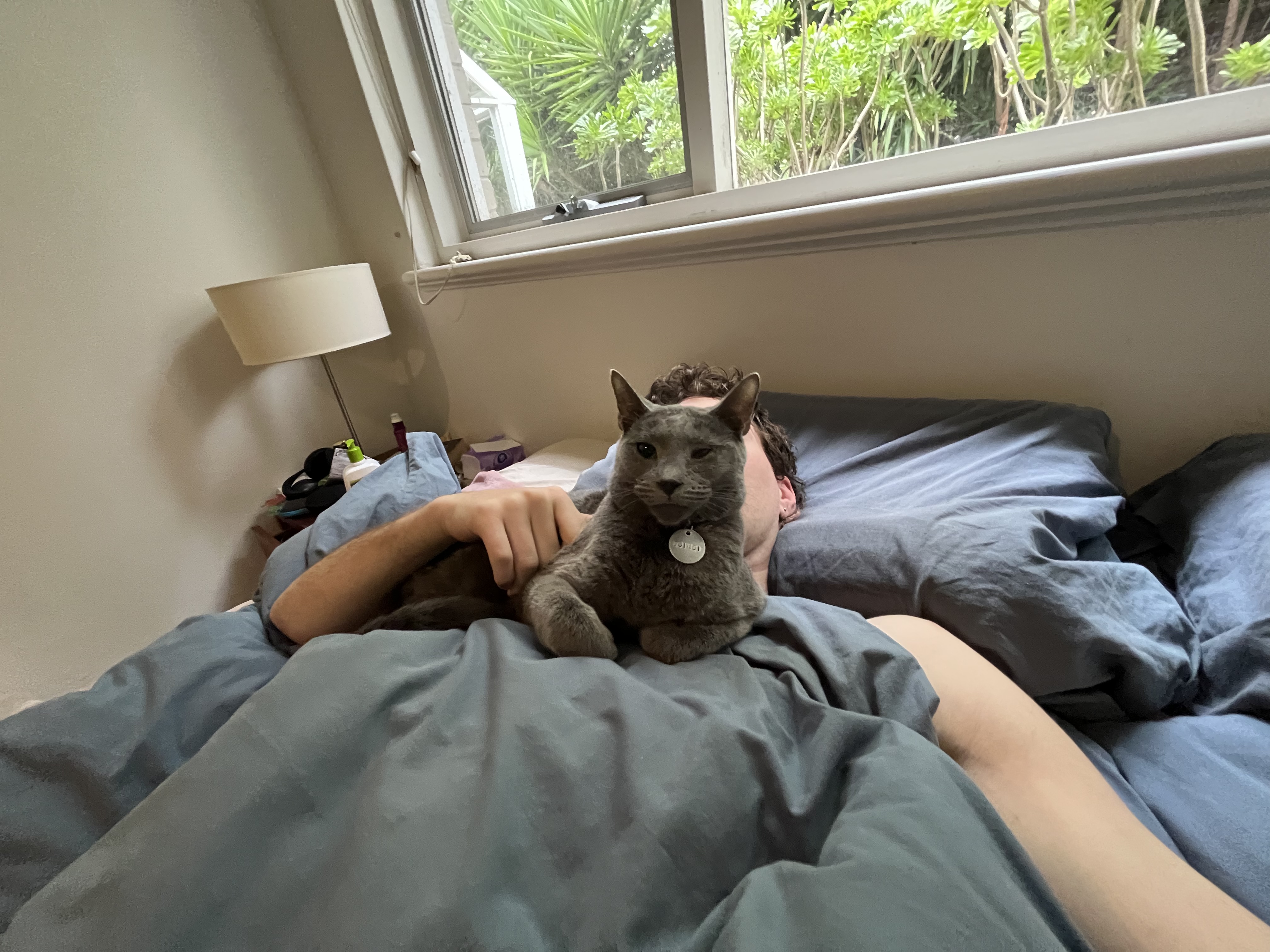 image-14