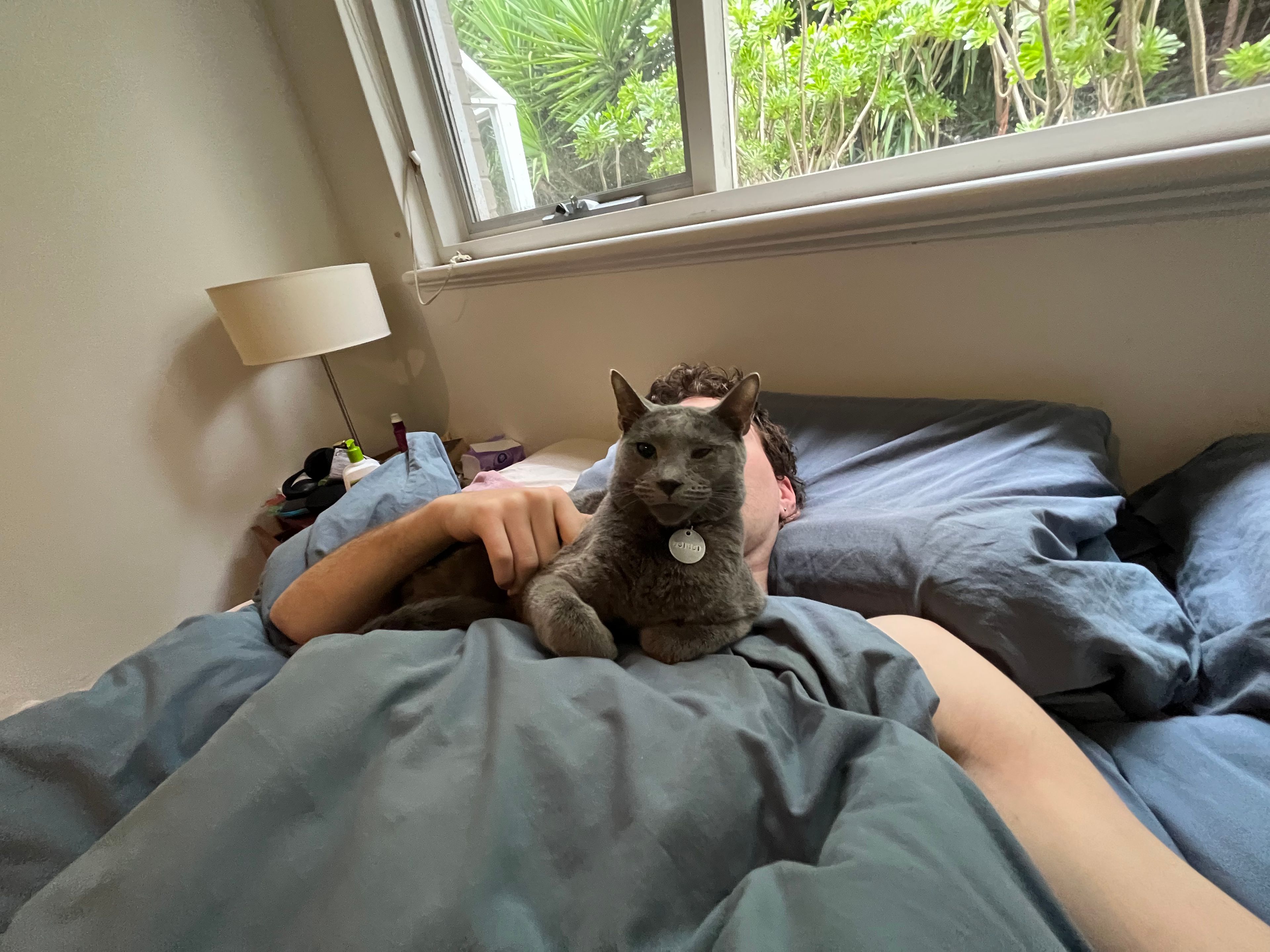 image-14