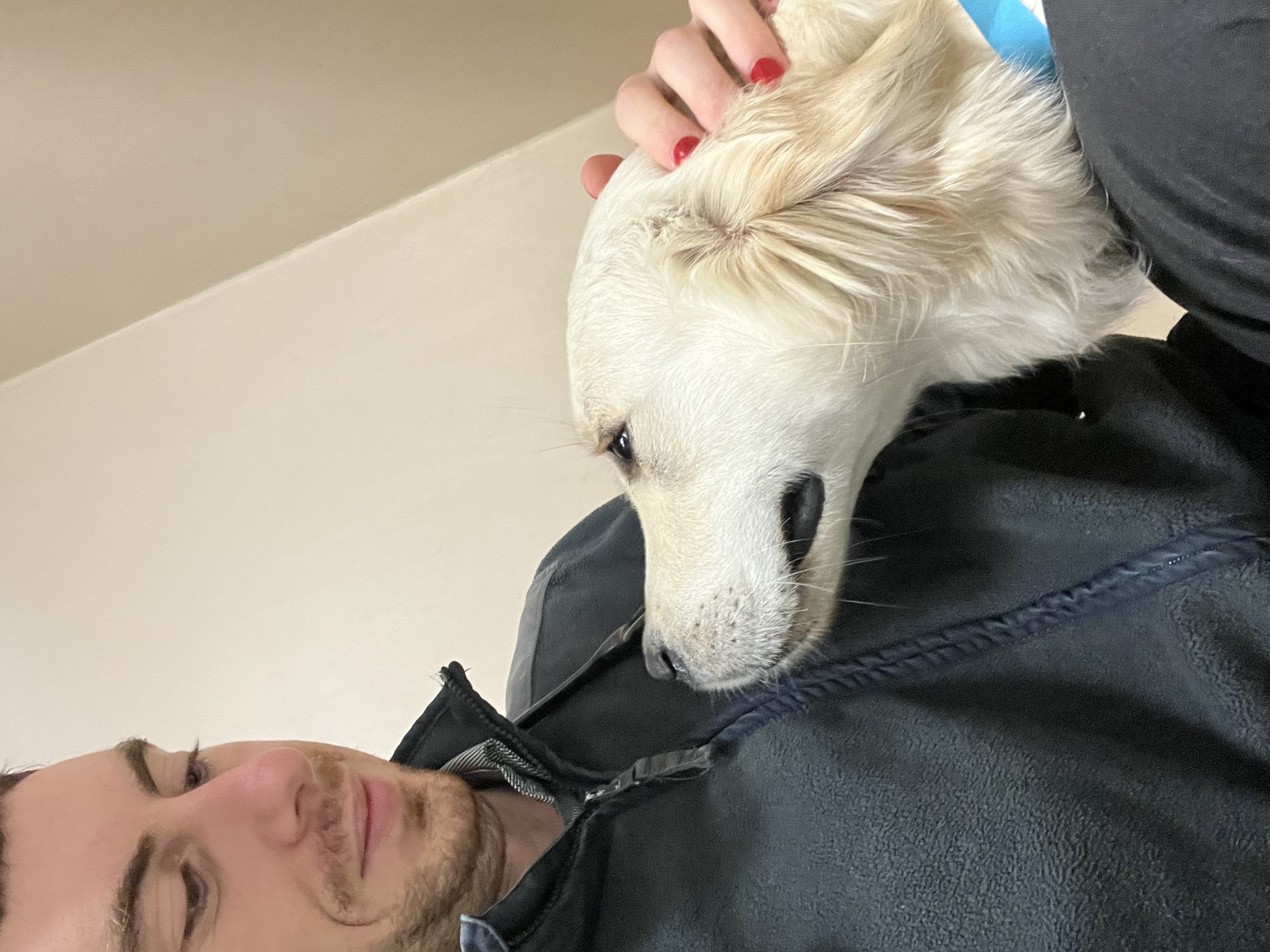 image-8