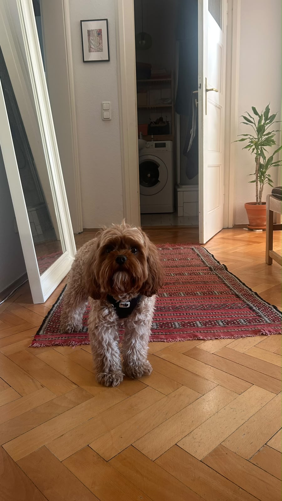 image-15