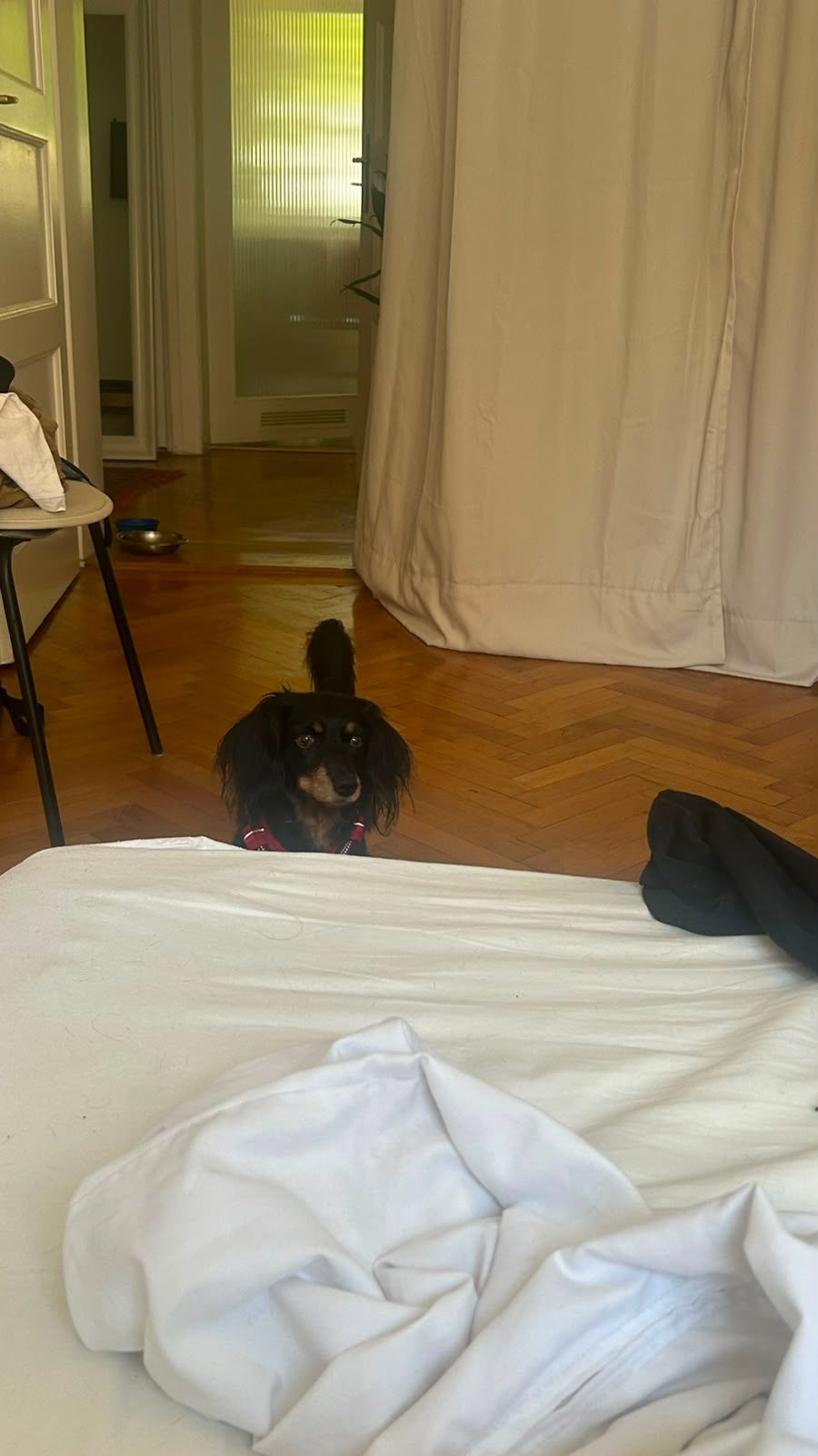 image-12