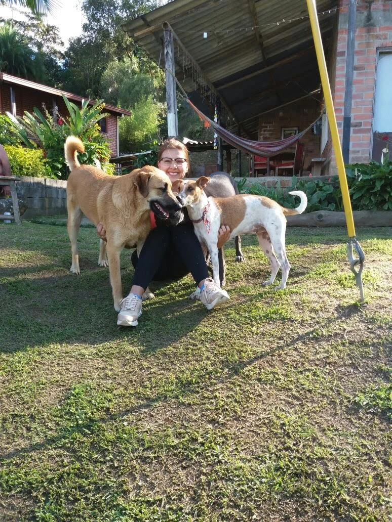 image-6